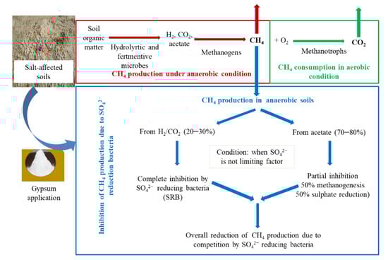 Sustainability 14 11876 g004