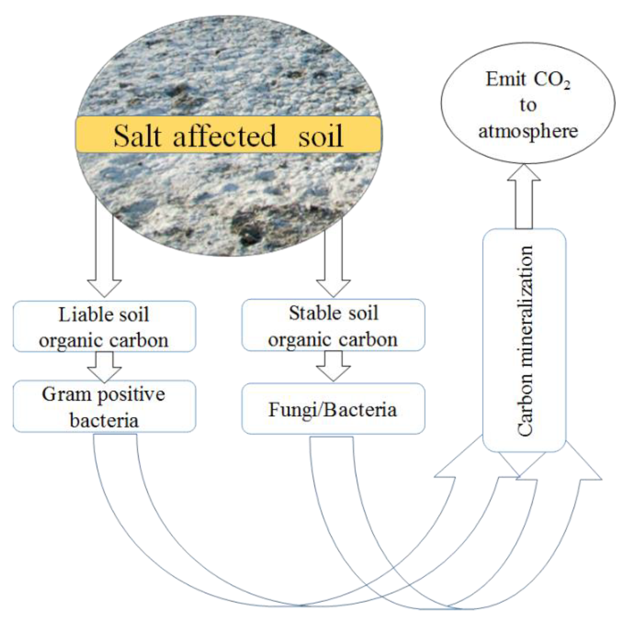 Sustainability 14 11876 g005