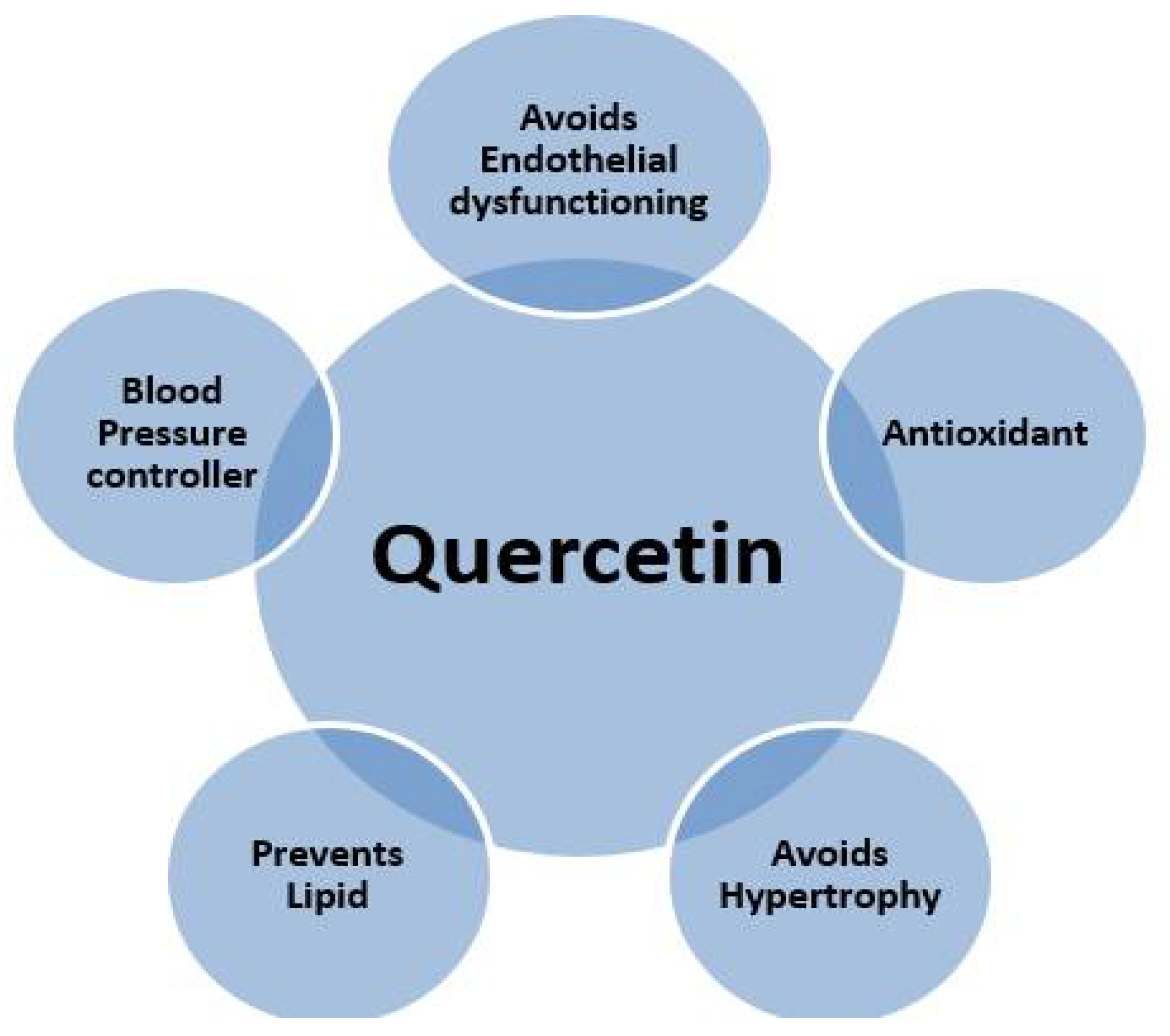 Sustainability 14 11958 g001