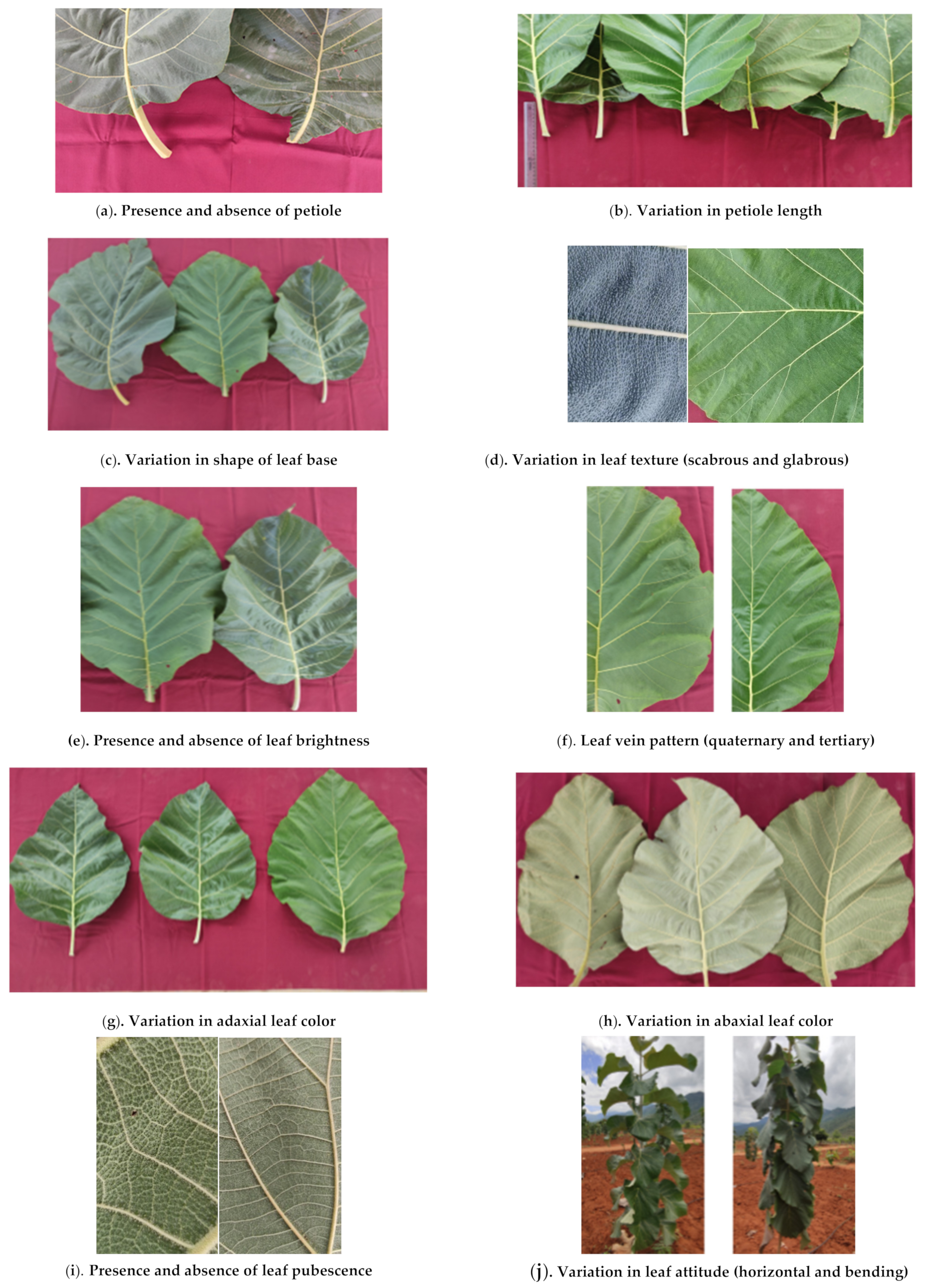 Sustainability 14 12012 g002a