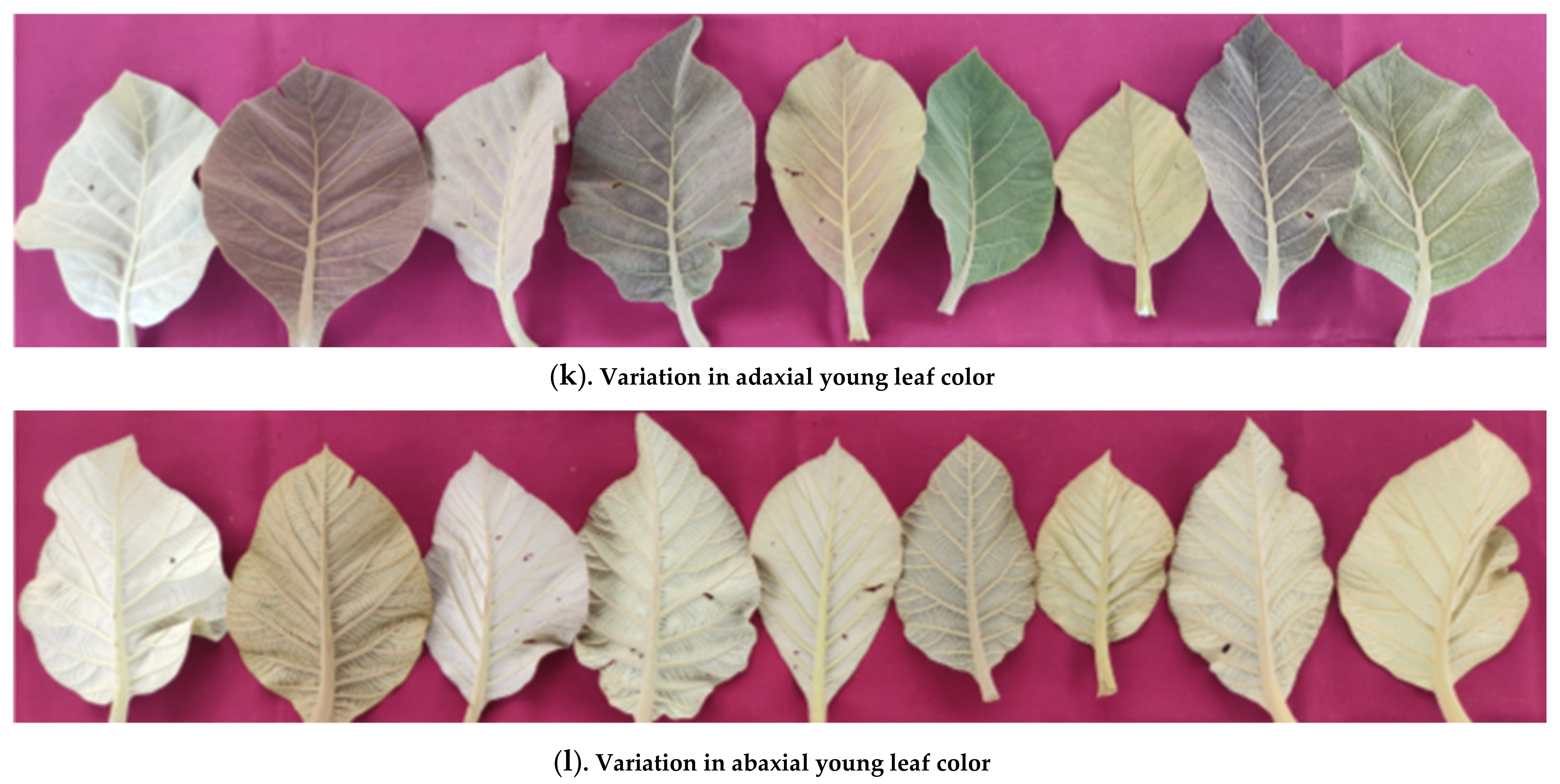 Sustainability 14 12012 g002b