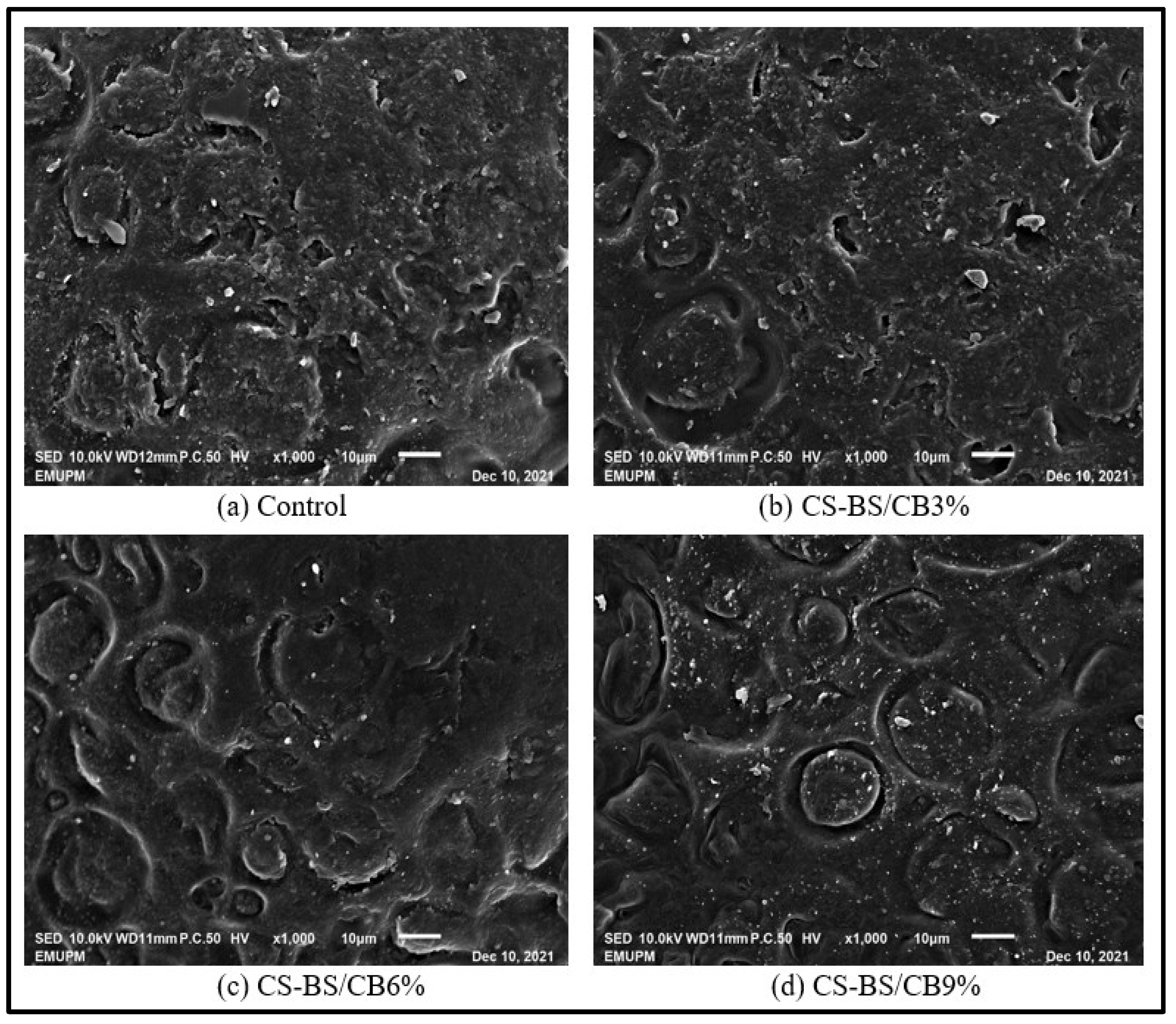 Sustainability 14 12042 g001