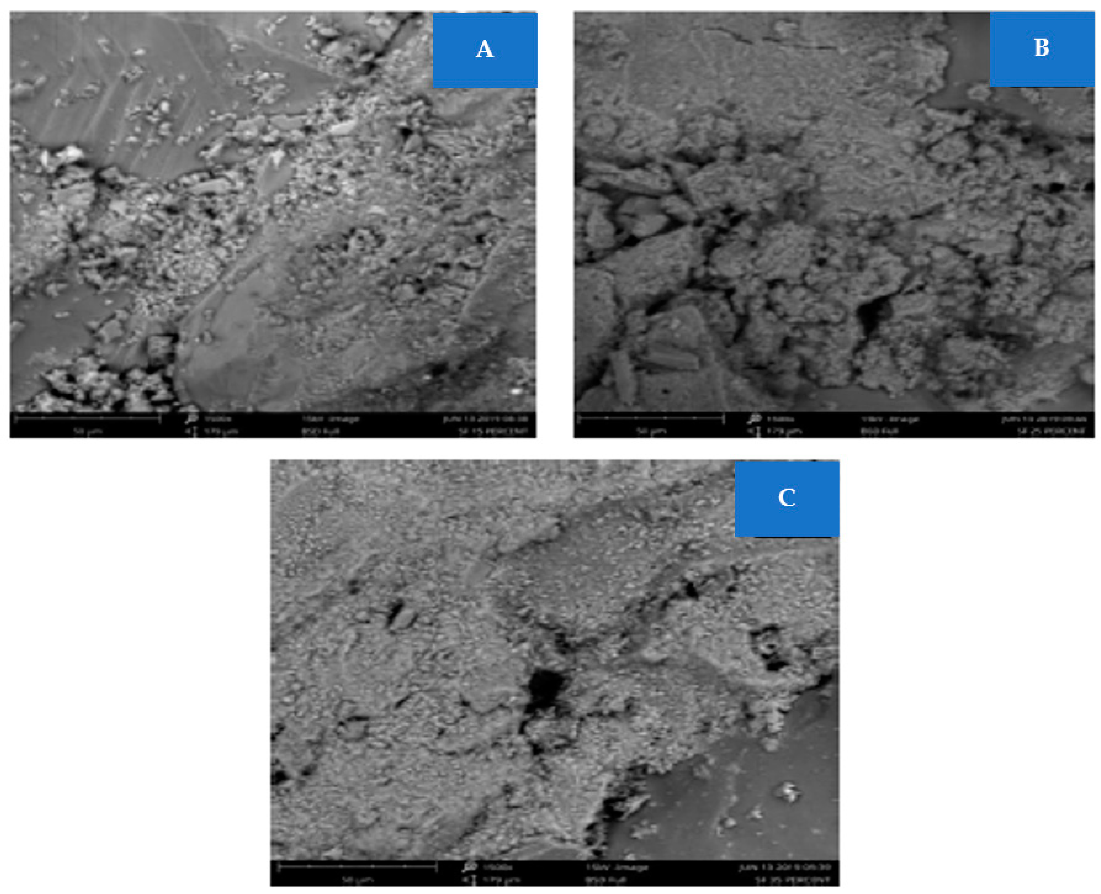 Sustainability 14 12075 g013