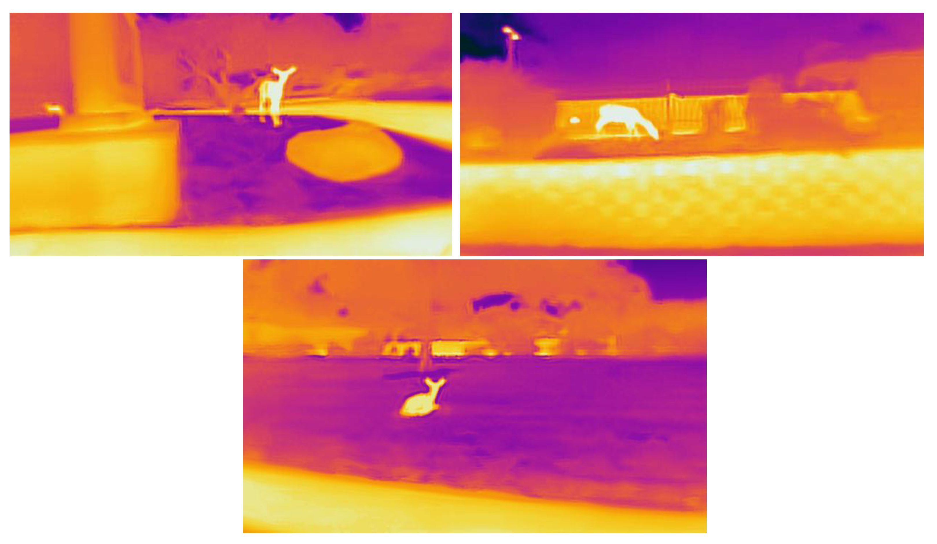 Sustainability 14 12133 g005