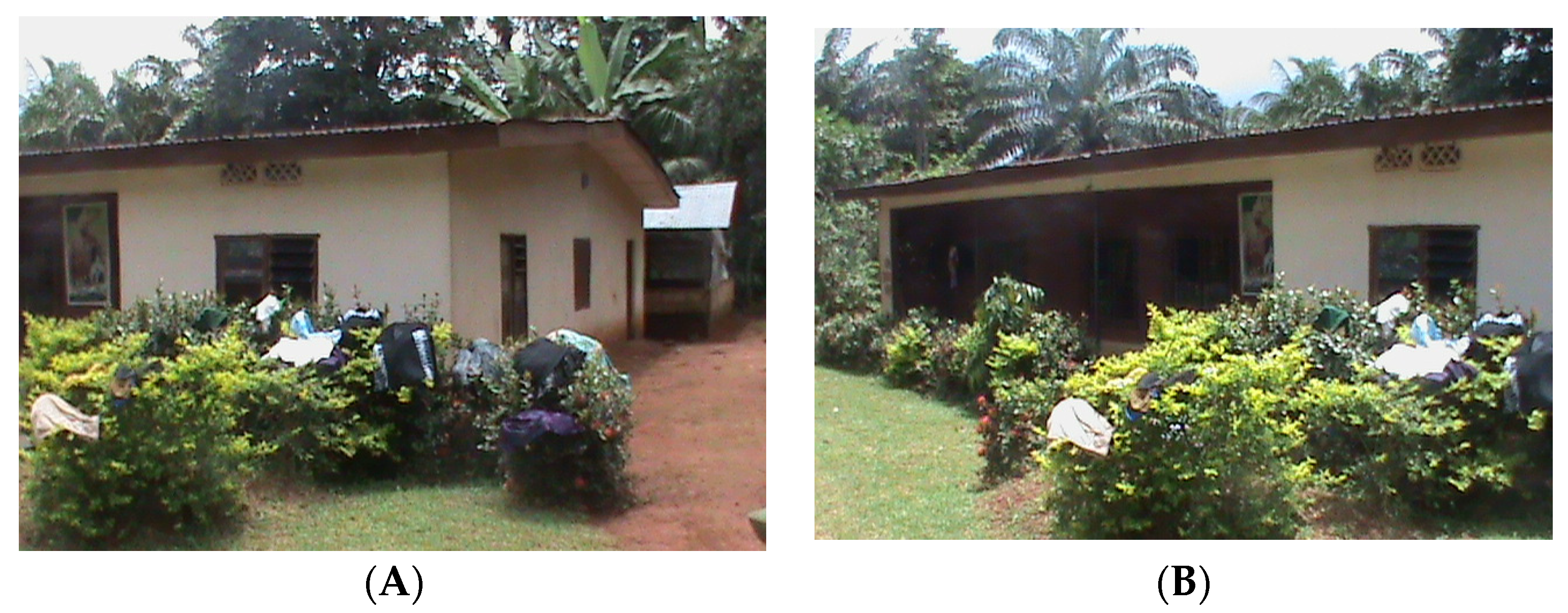 Sustainability 14 12138 g004