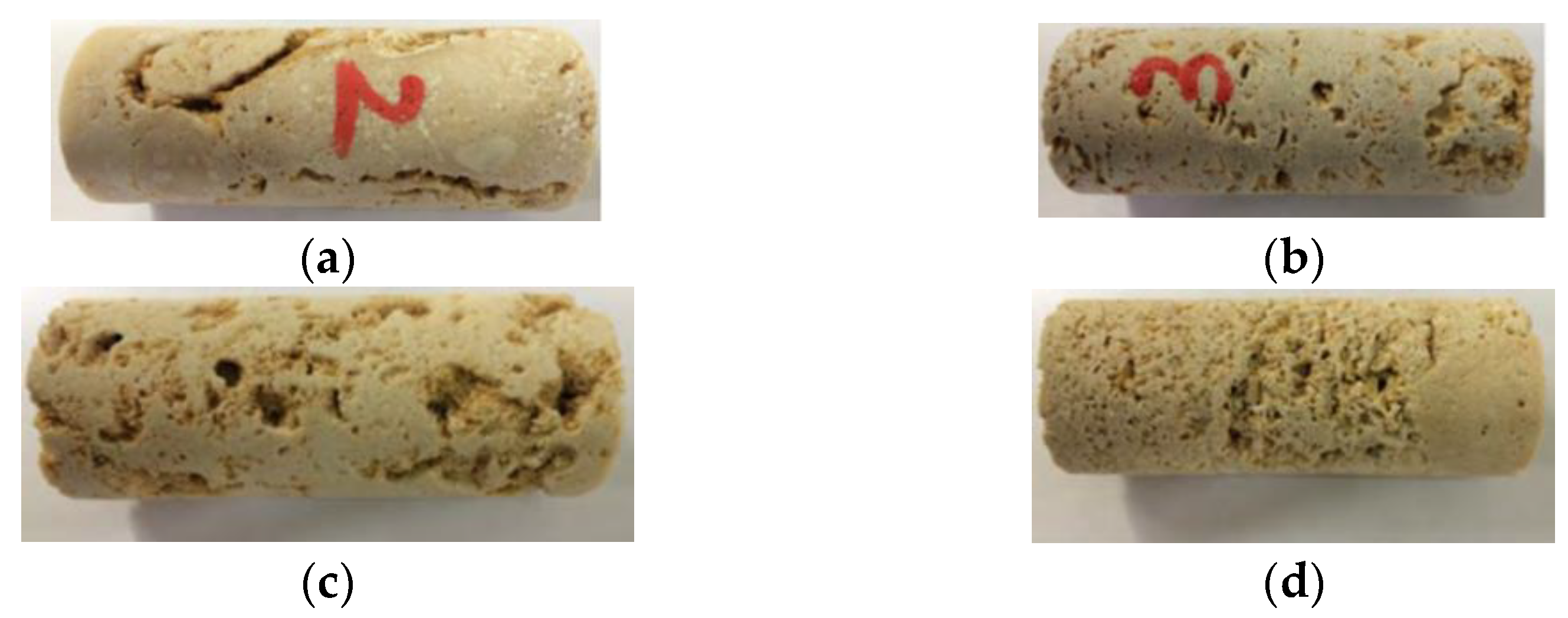 Sustainability 14 12193 g002