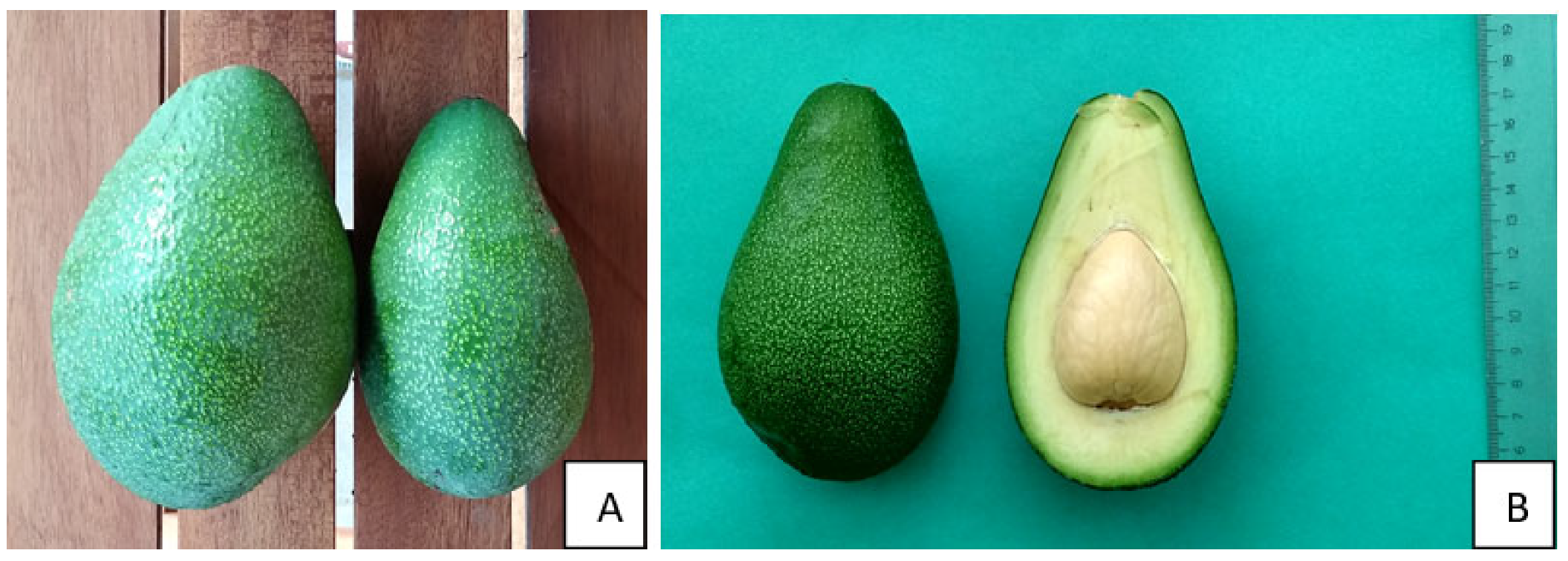 Sustainability 14 12221 g001