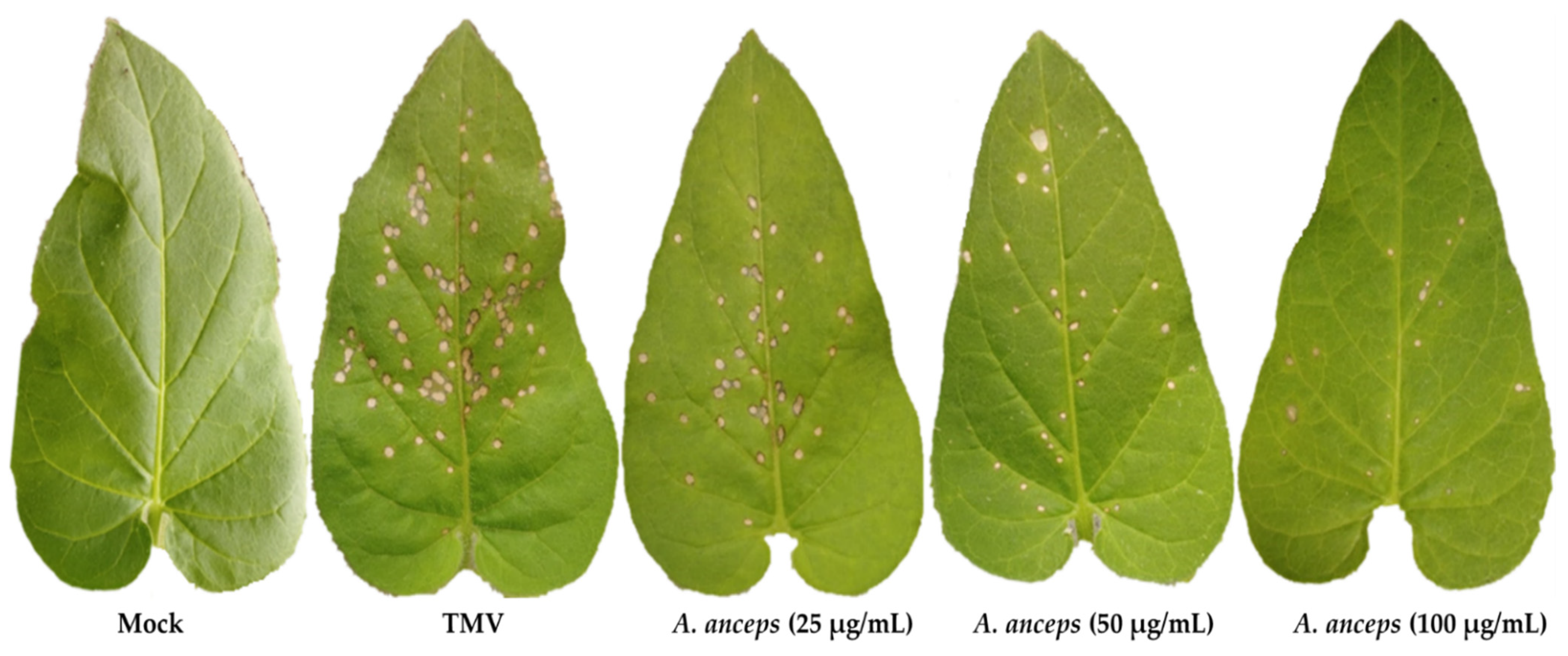 Sustainability 14 12253 g004