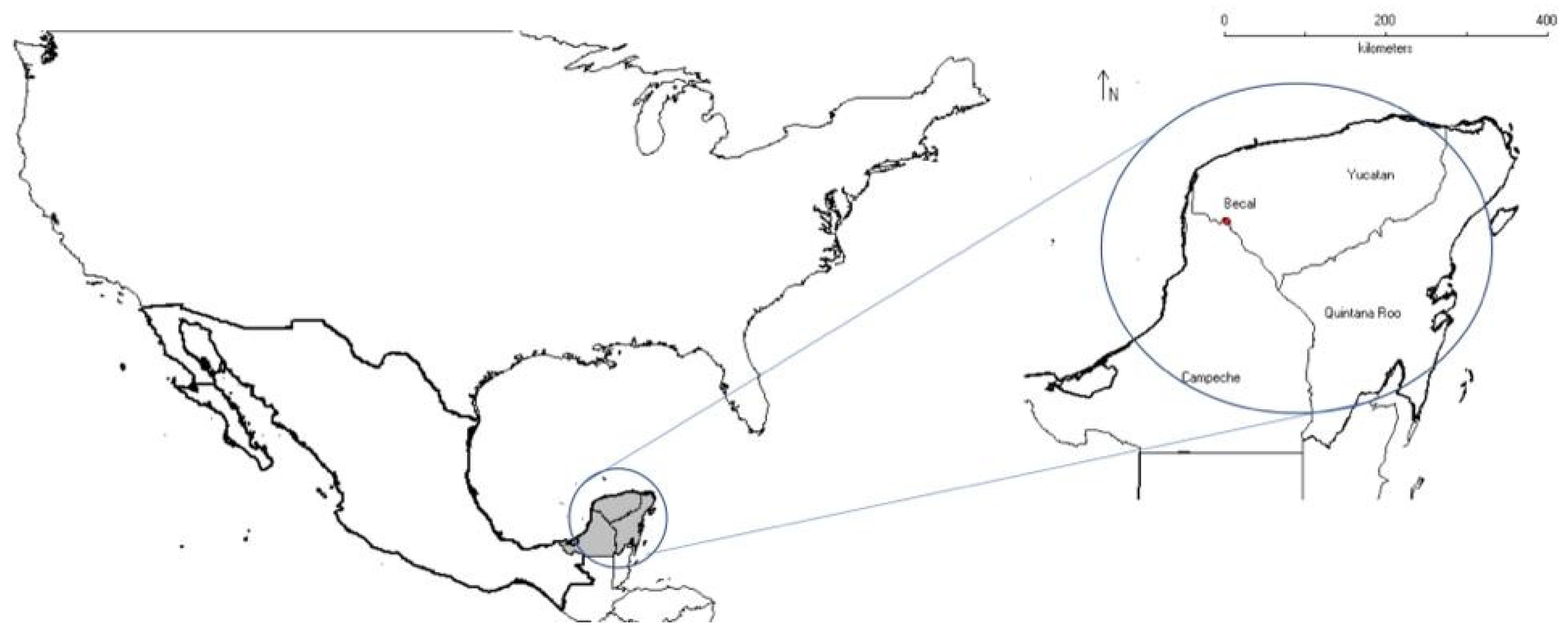 Sustainability 14 12385 g001