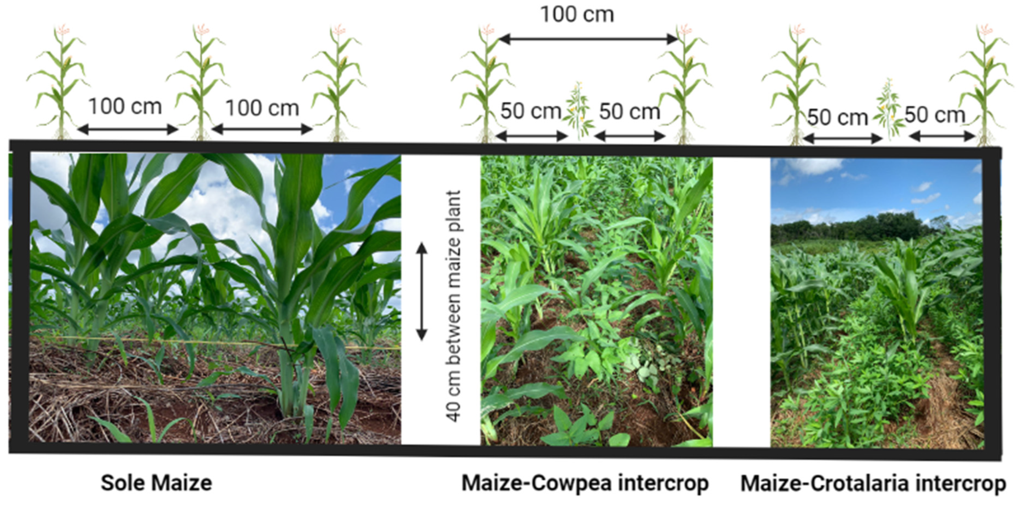 Sustainability 14 12385 g002