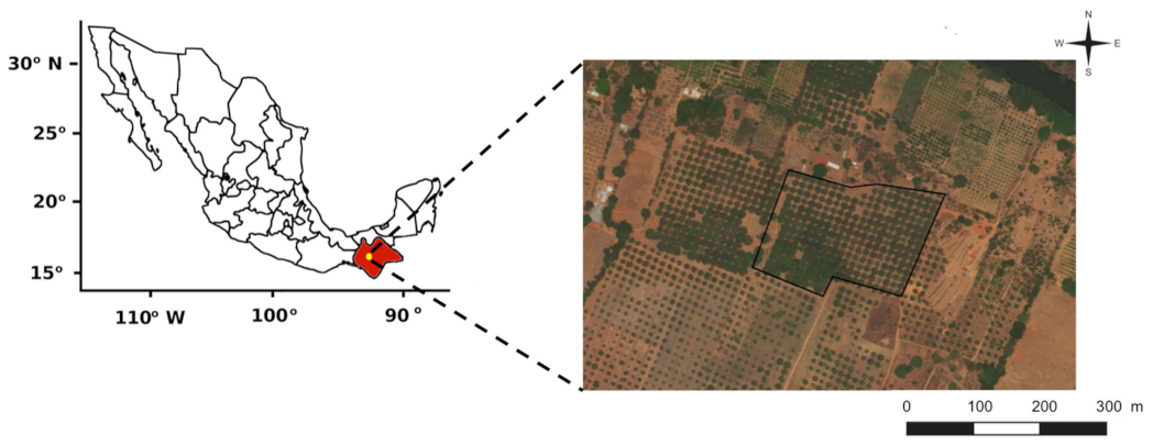 Sustainability 14 12391 g001 Sustainability 14 12391 g001