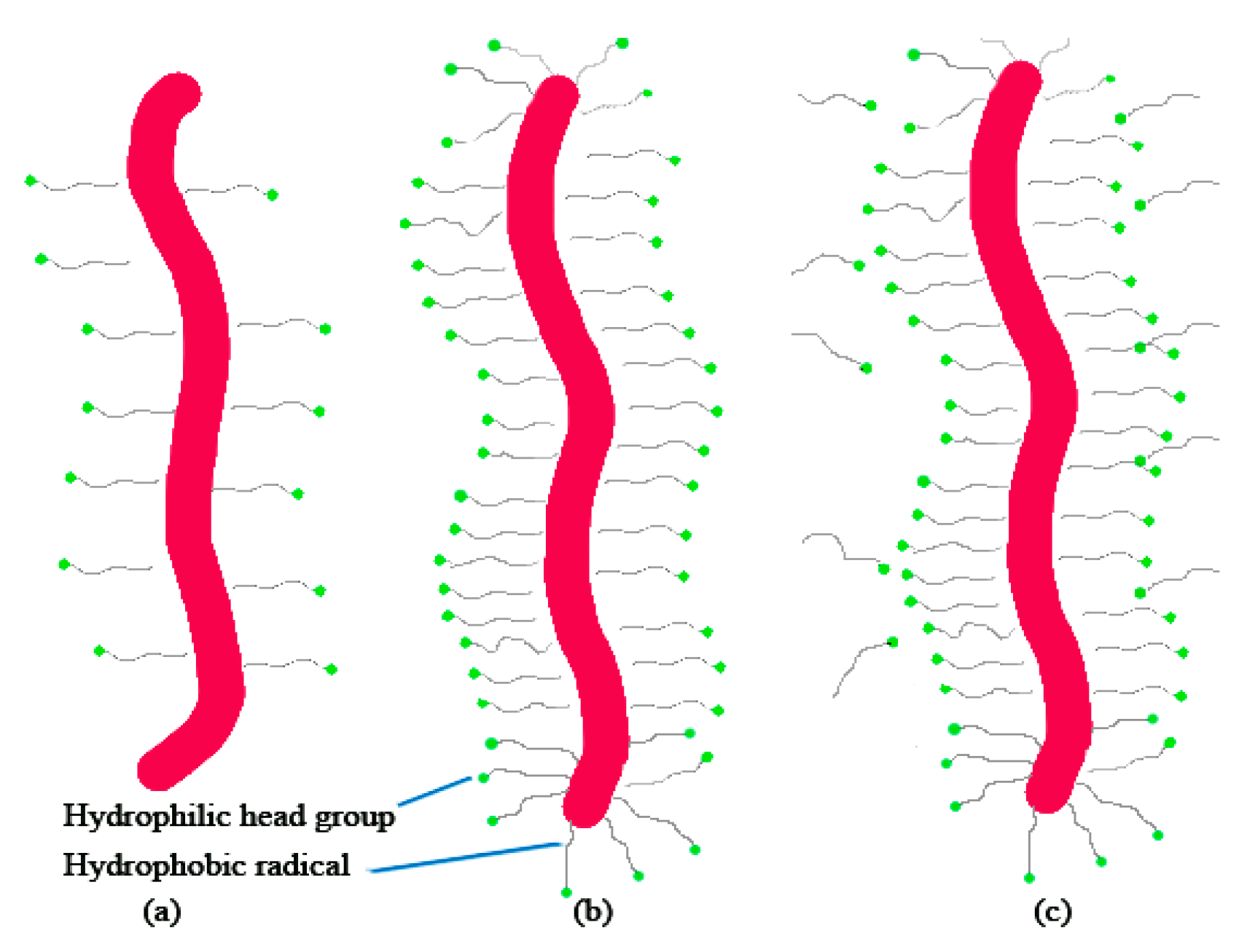 Sustainability 14 12433 g001