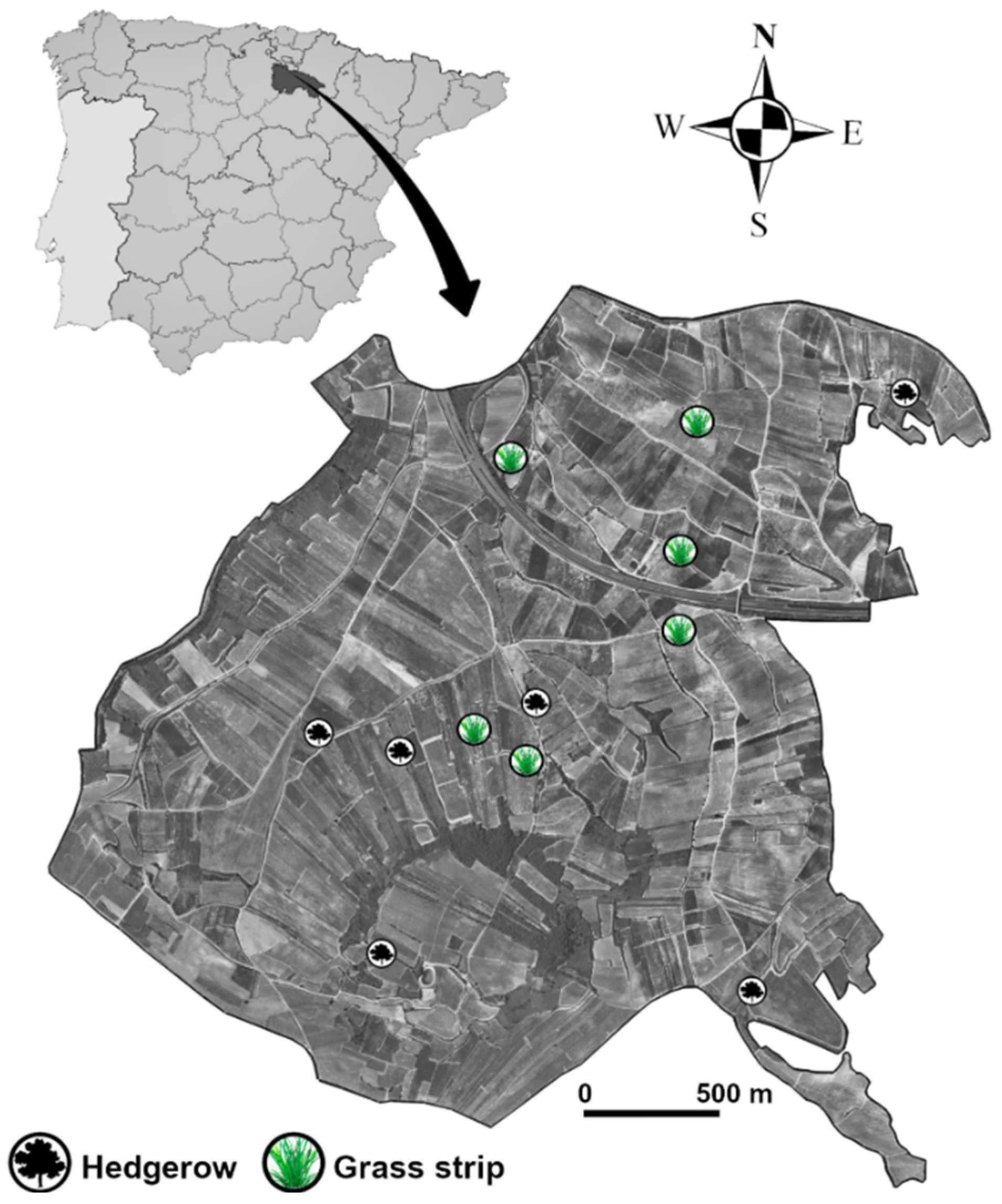 Sustainability 14 12435 g001