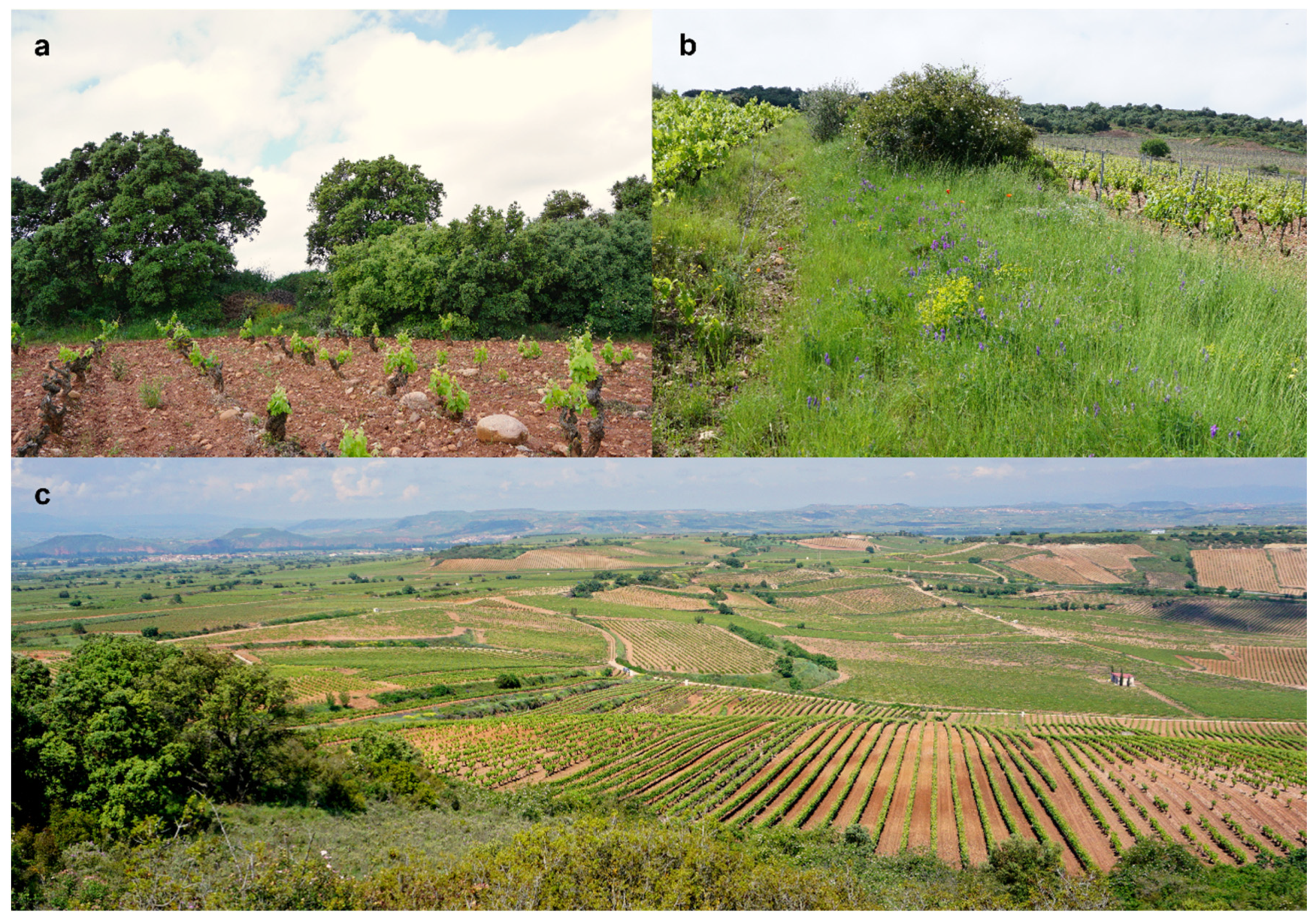 Sustainability 14 12435 g002