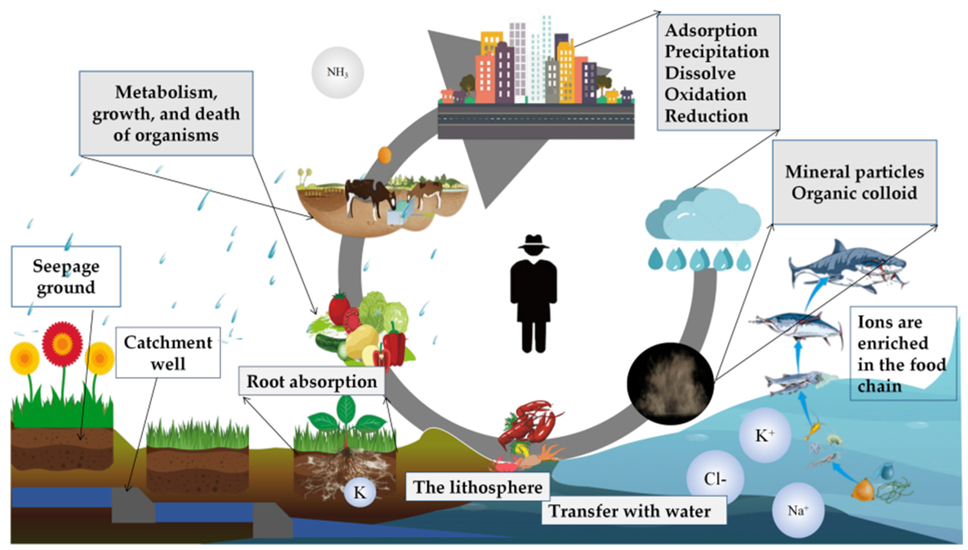 Sustainability 14 12439 g004