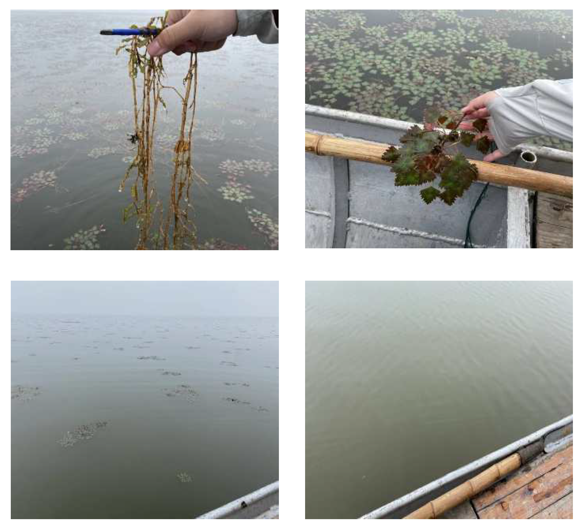 Sustainability 14 12478 g002