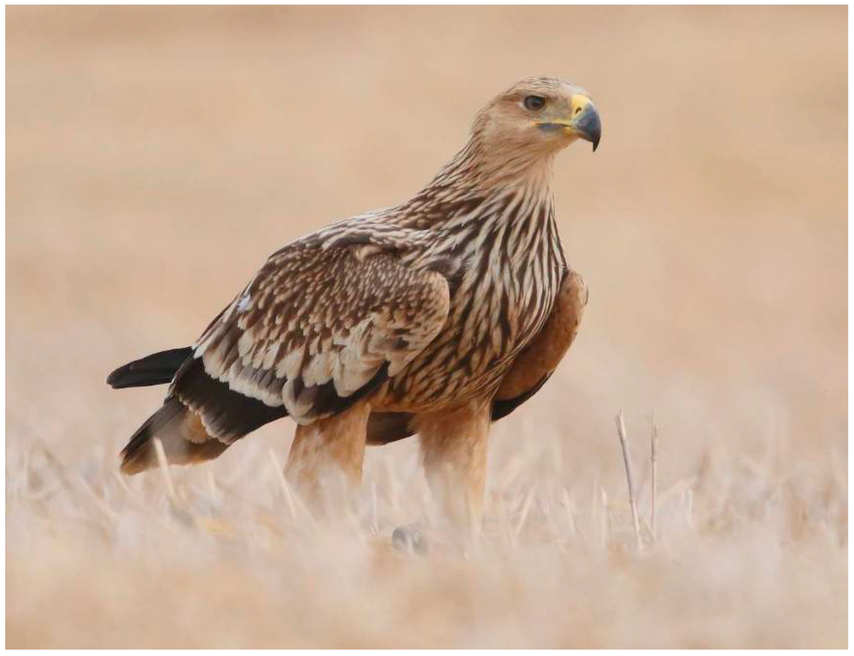 Sustainability 14 12481 g005