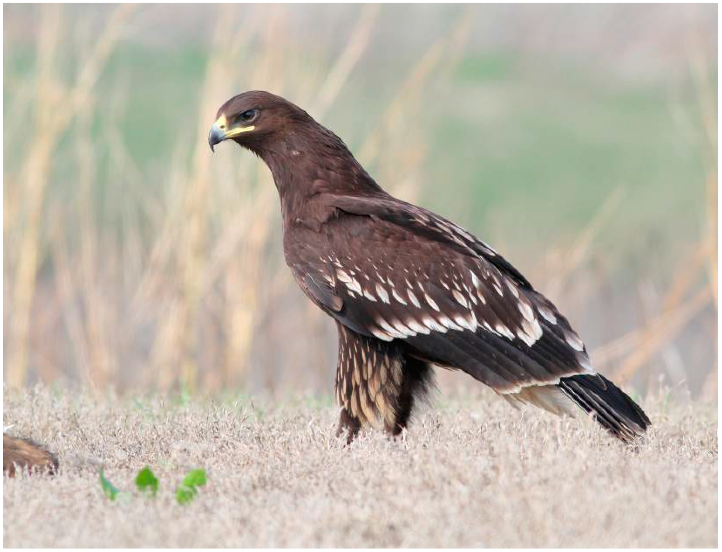 Sustainability 14 12481 g008