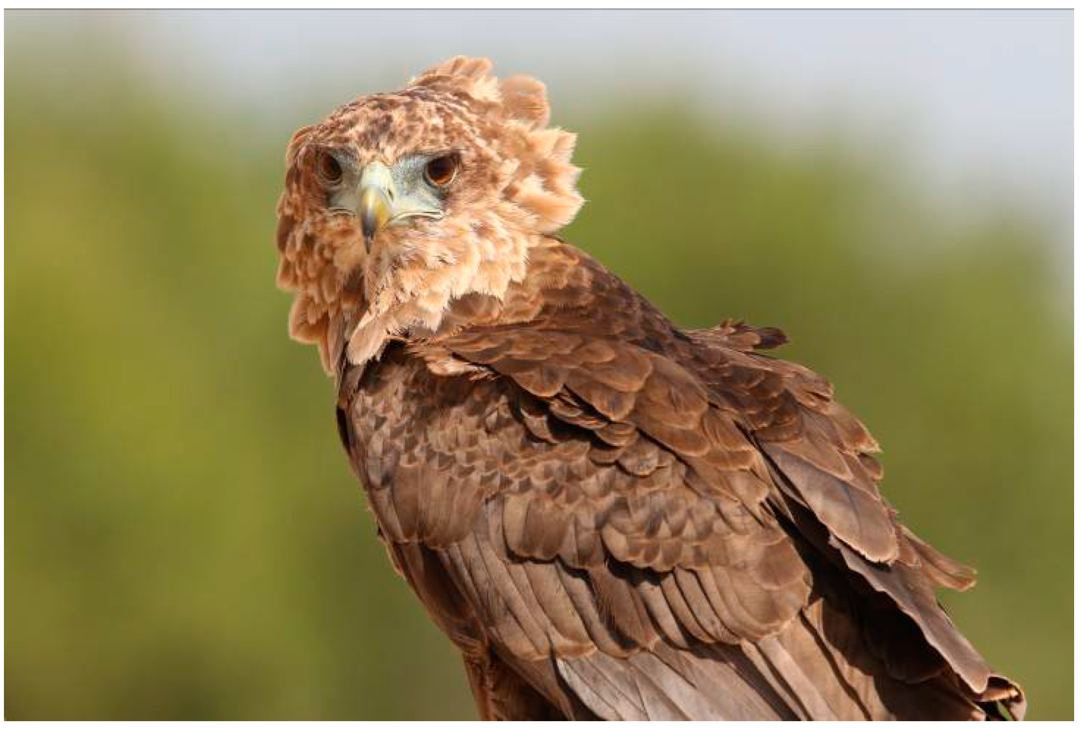 Sustainability 14 12481 g009