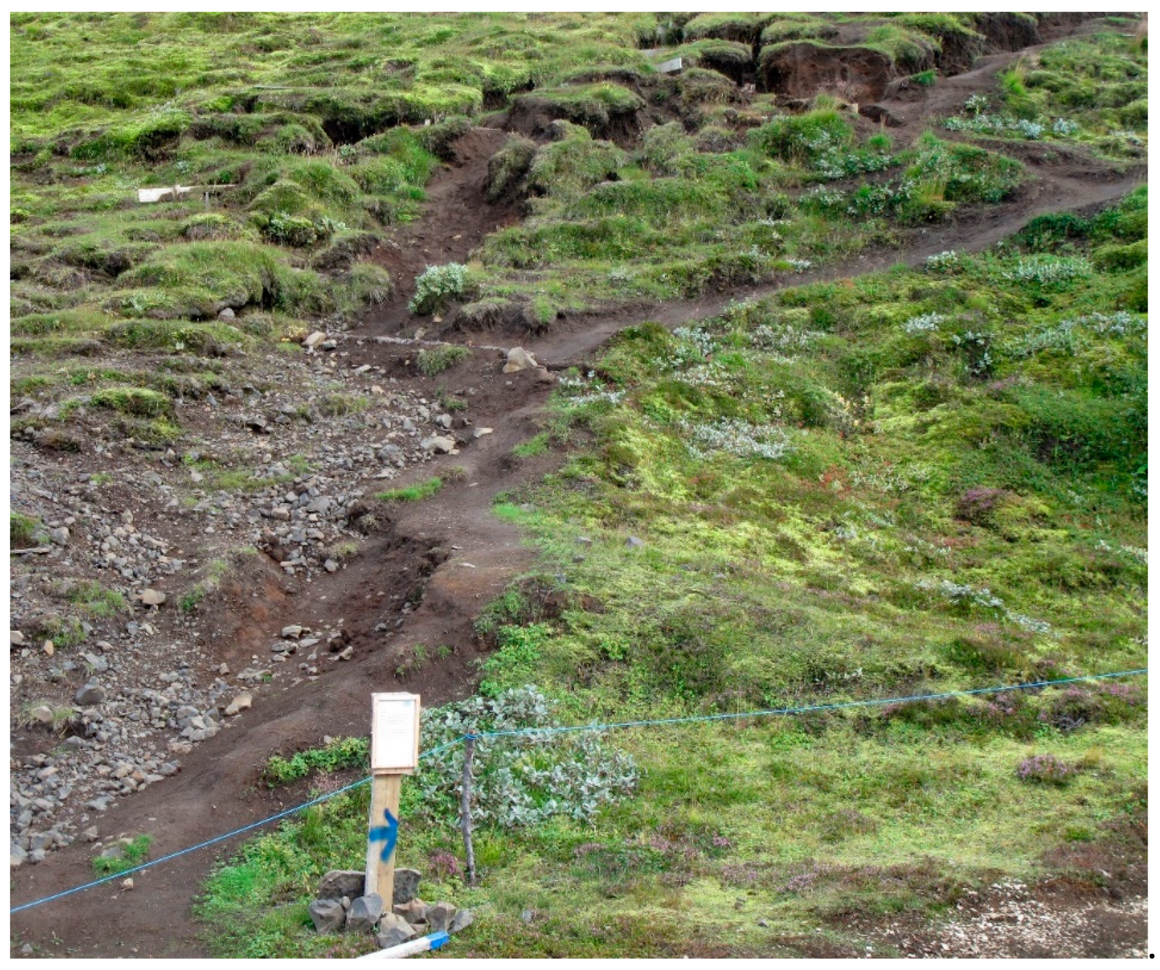 Sustainability 14 12490 g003