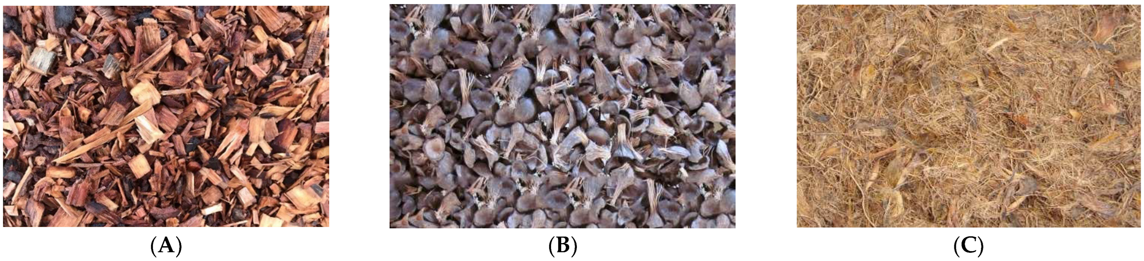 Sustainability 14 12493 g002 Sustainability 14 12493 g002