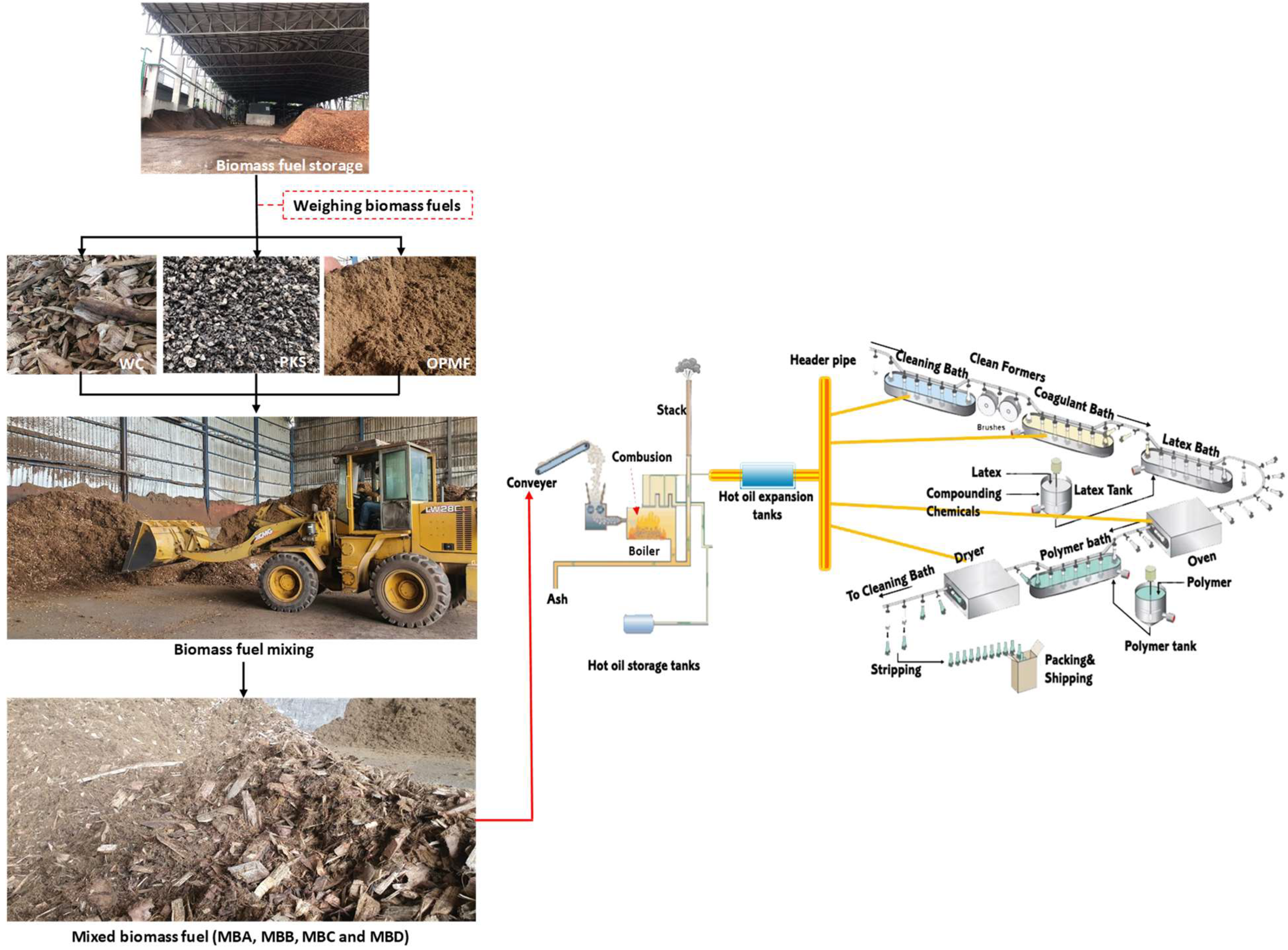 Sustainability 14 12493 g003 Sustainability 14 12493 g003