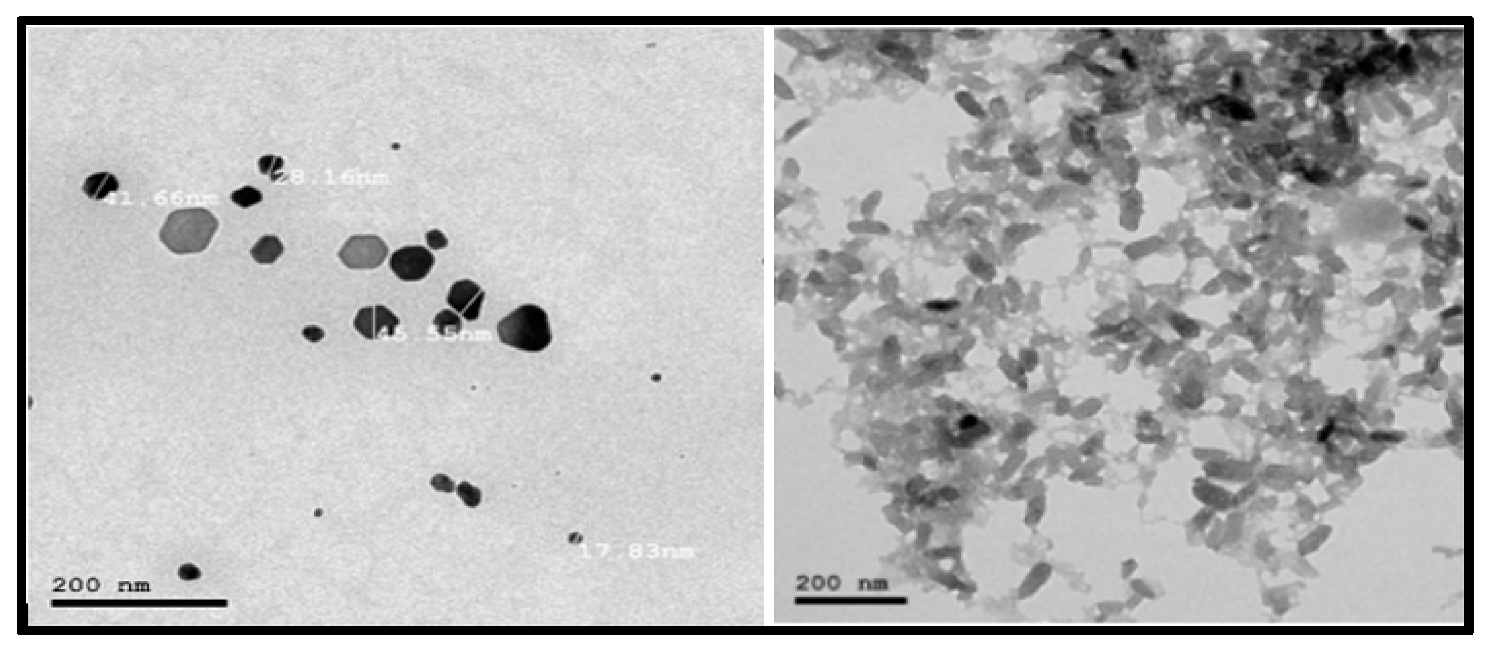 Sustainability 14 12513 g002