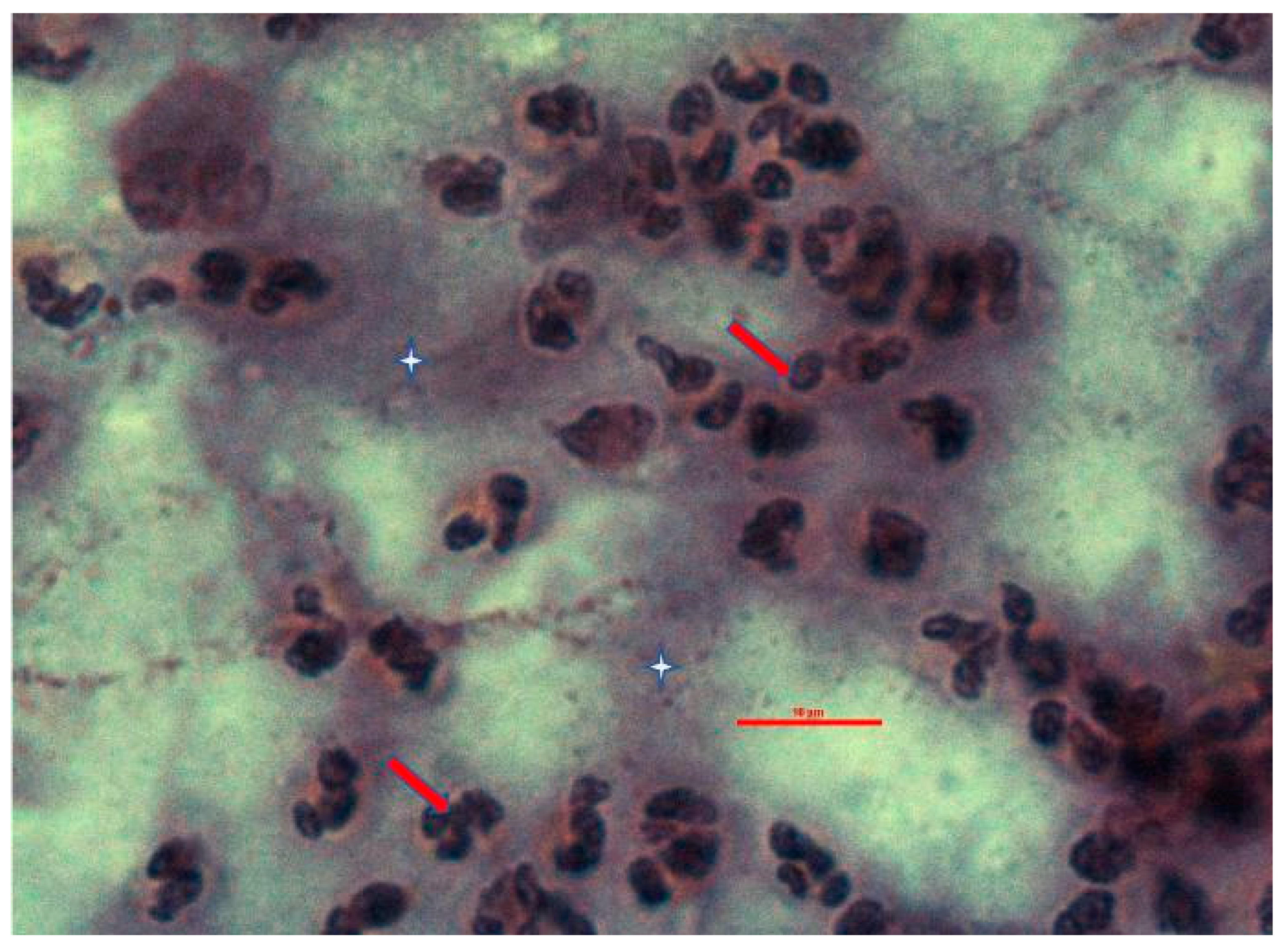 Sustainability 14 12556 g001