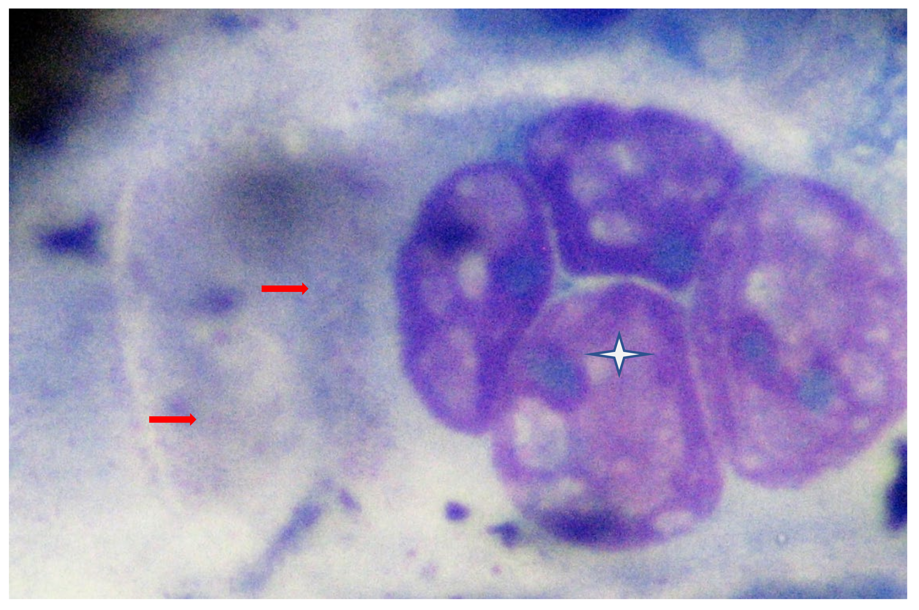 Sustainability 14 12556 g003