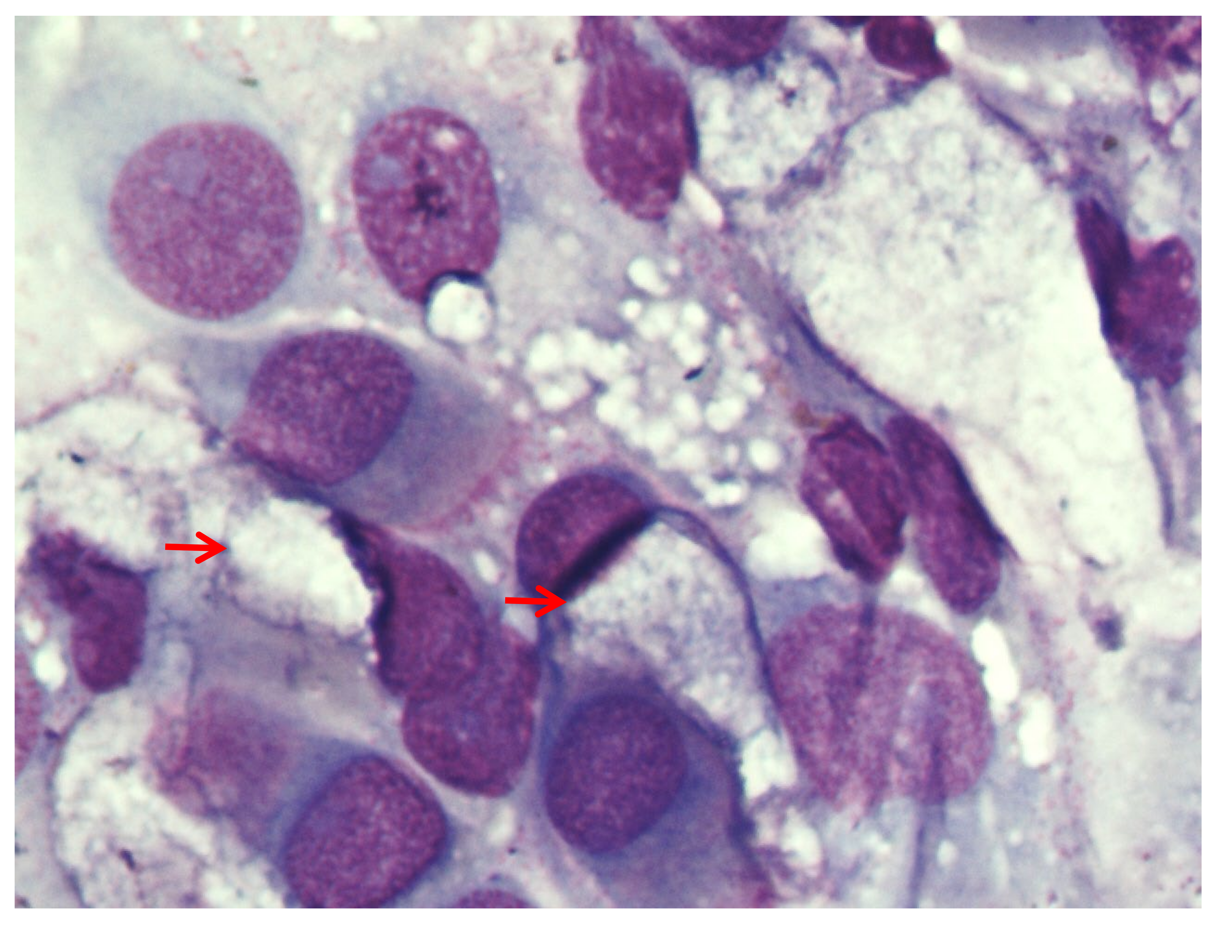 Sustainability 14 12556 g004