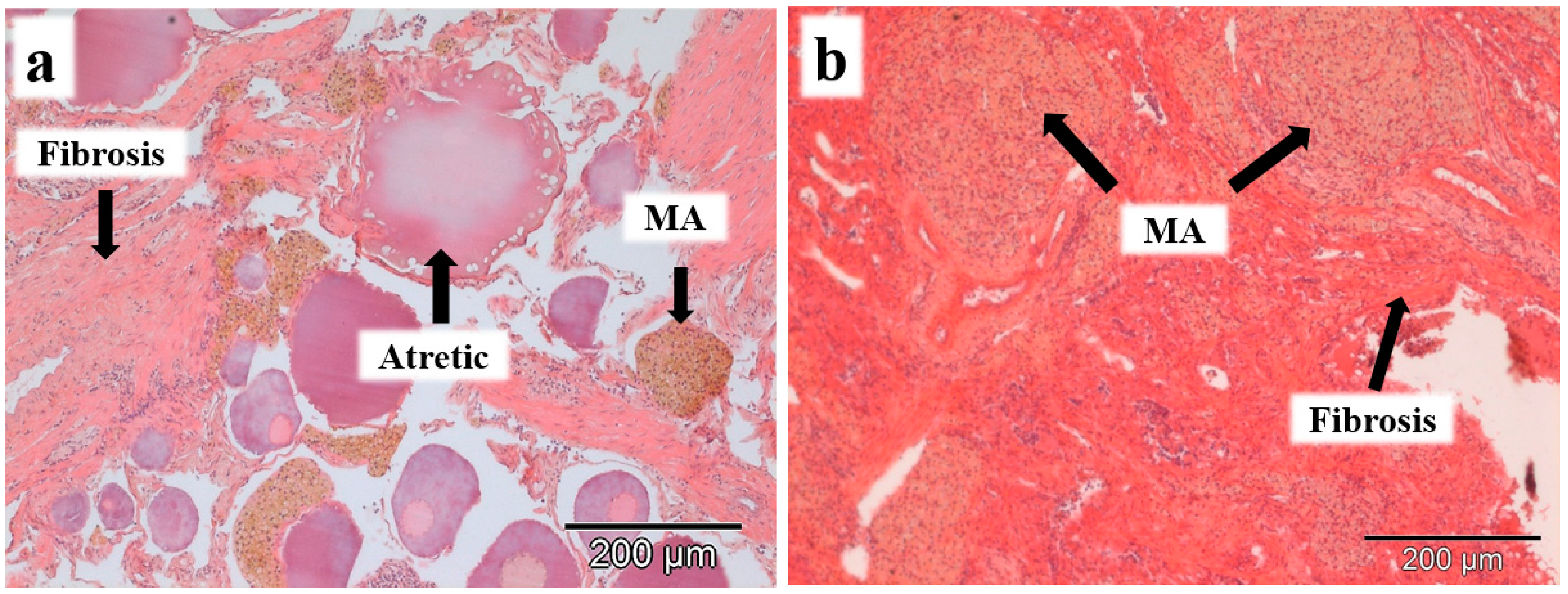 Sustainability 14 12596 g002 Sustainability 14 12596 g002