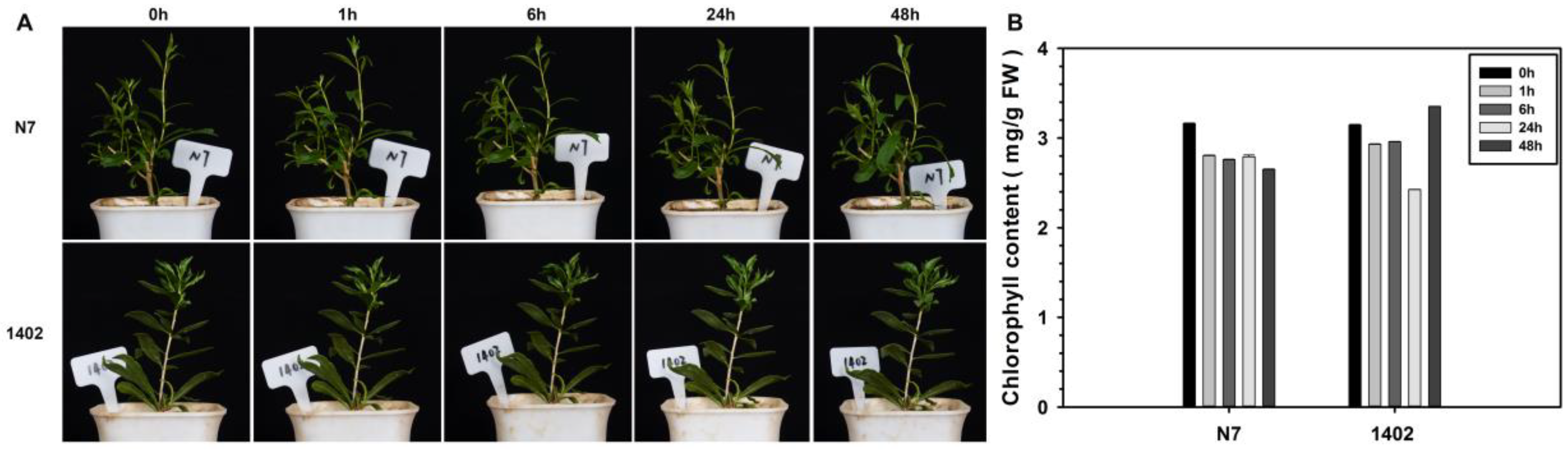 Sustainability 14 12617 g001