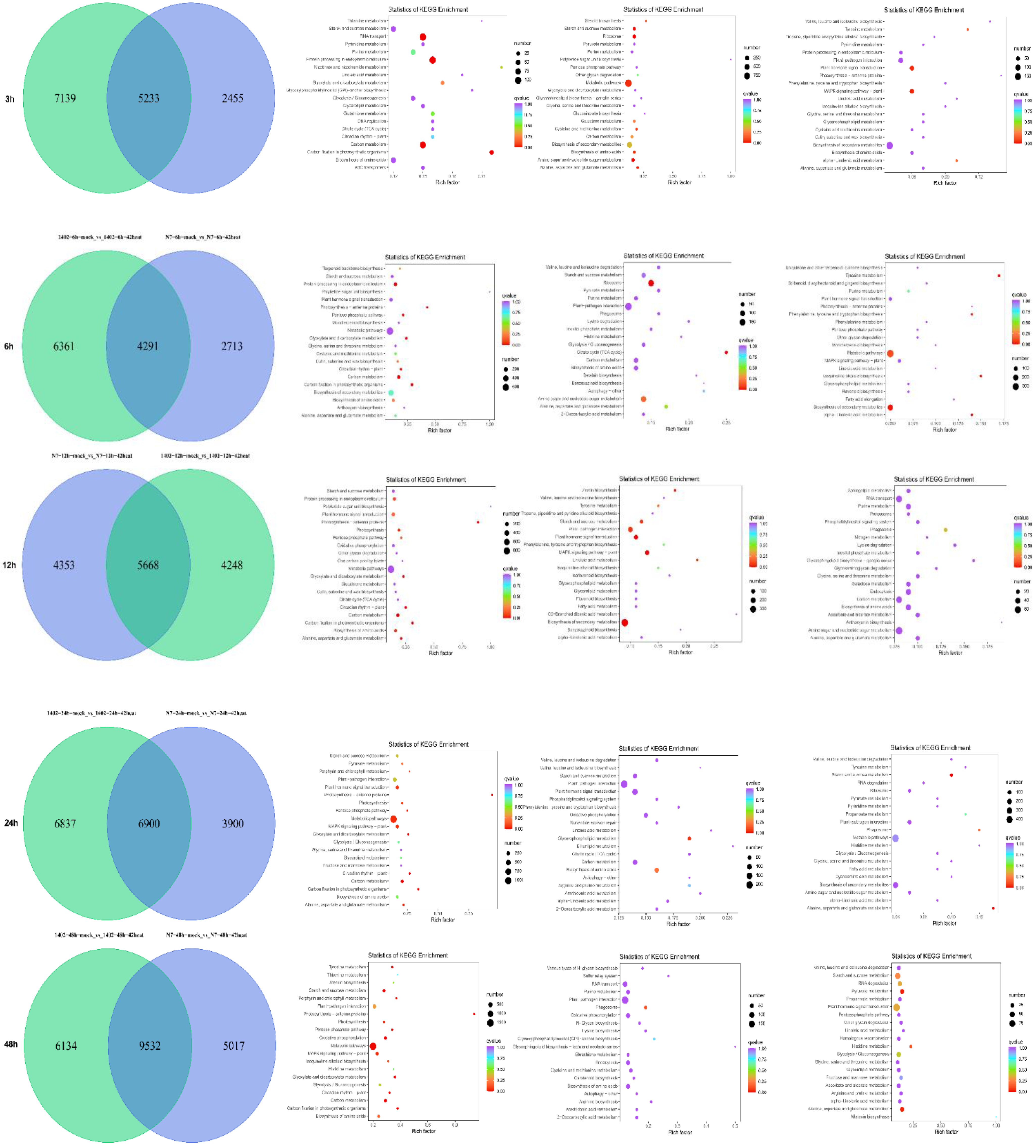 Sustainability 14 12617 g003b