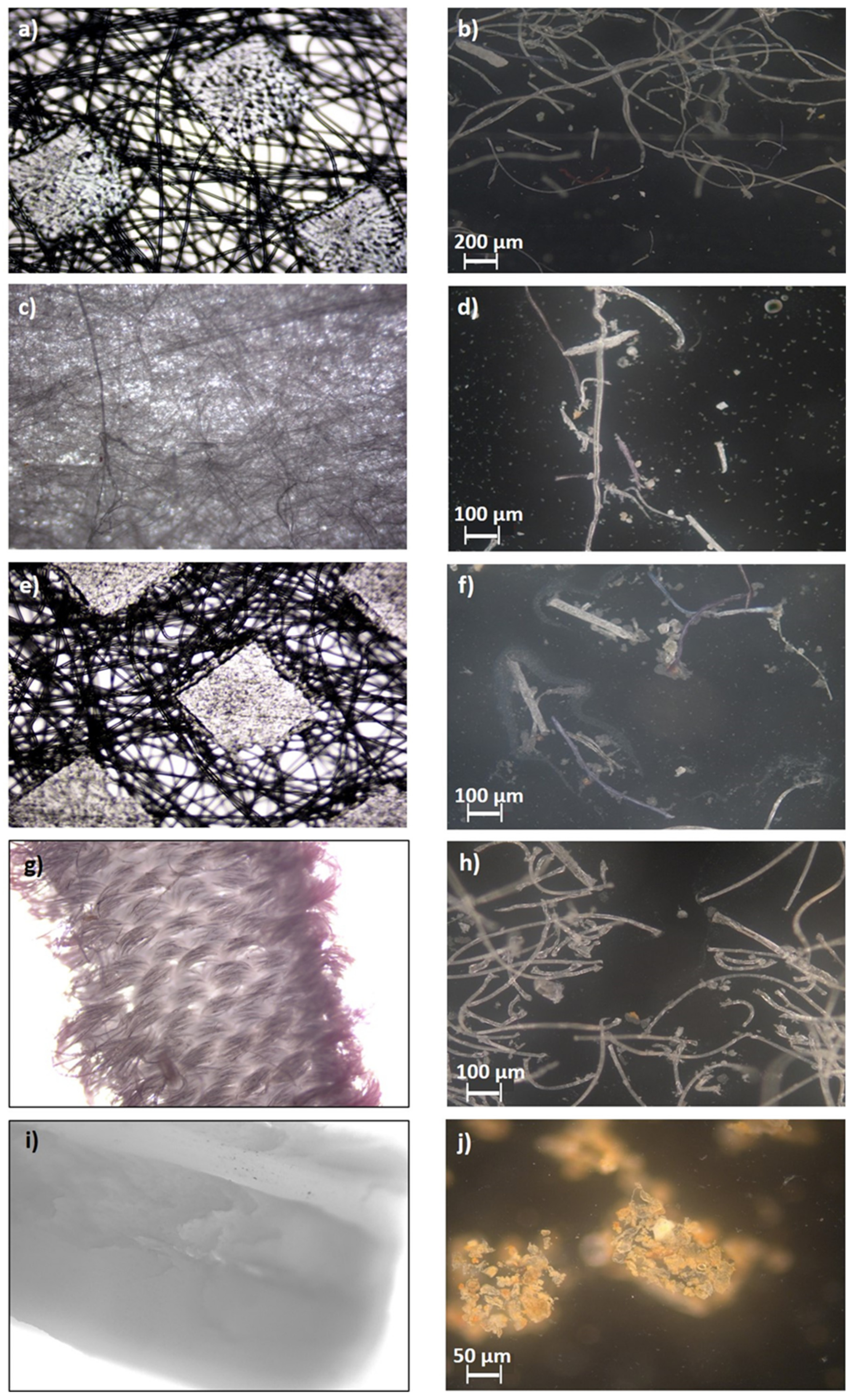 Sustainability 14 12625 g005