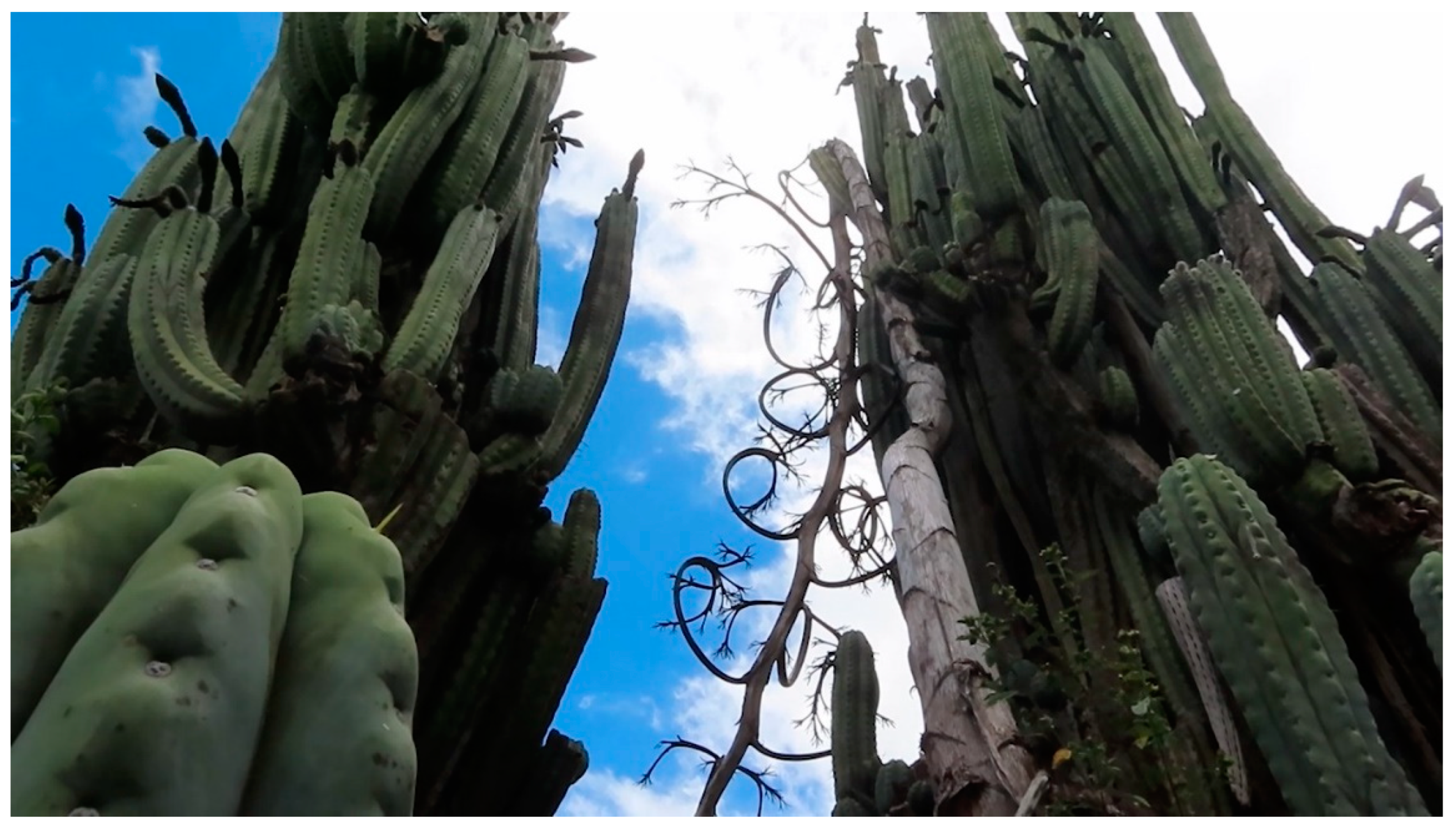 Sustainability 14 12679 g003