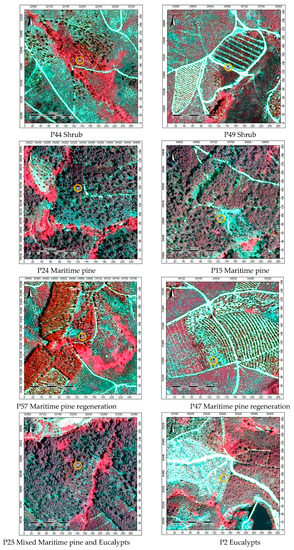 Sustainability 14 12698 g0a1