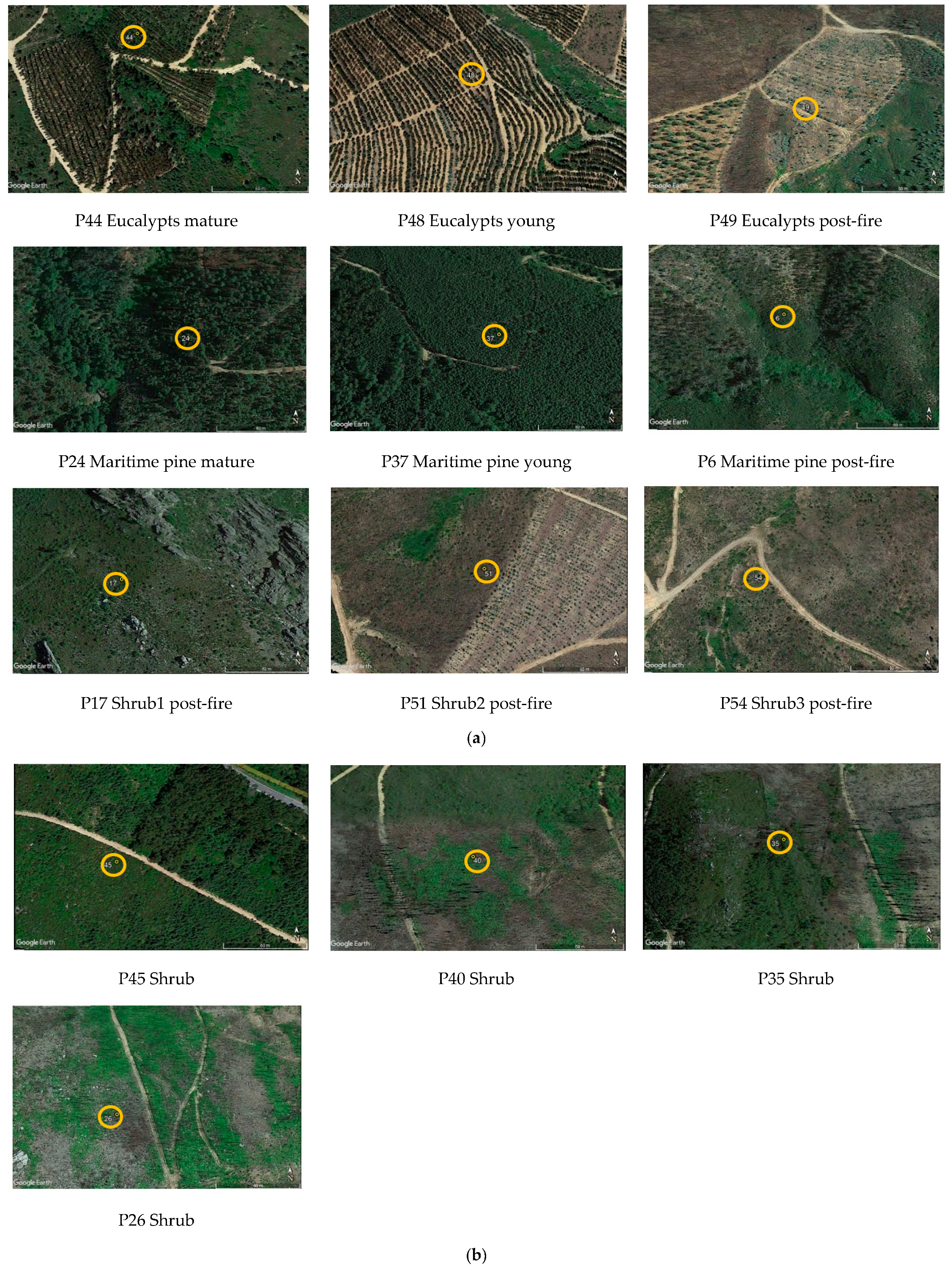 Sustainability 14 12698 g0a2 Sustainability 14 12698 g0a2