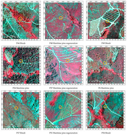 Sustainability 14 12698 g0a3