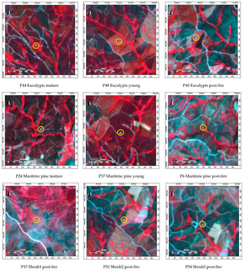 Sustainability 14 12698 g0a4