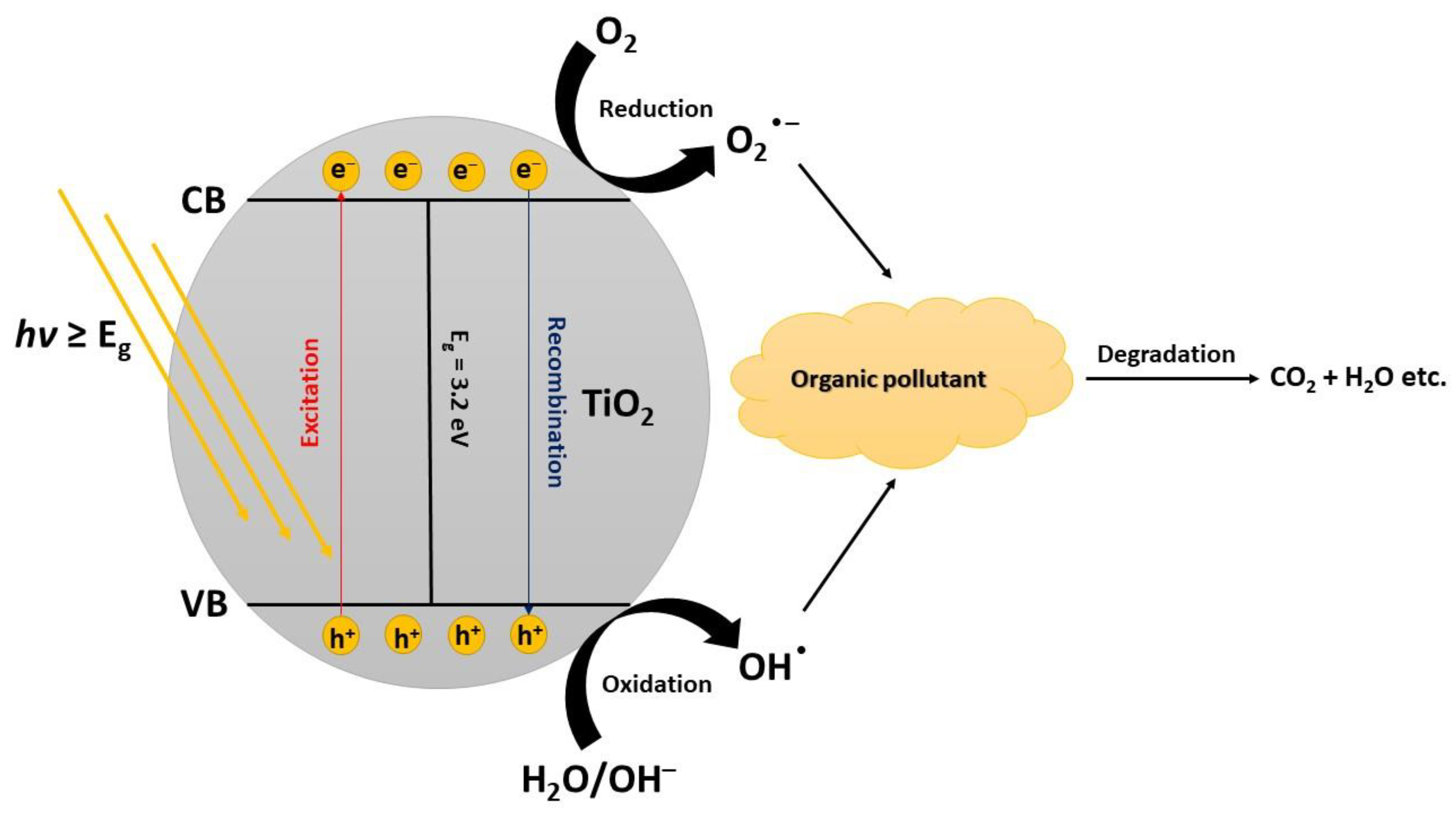 Sustainability 14 12703 g001 Sustainability 14 12703 g001