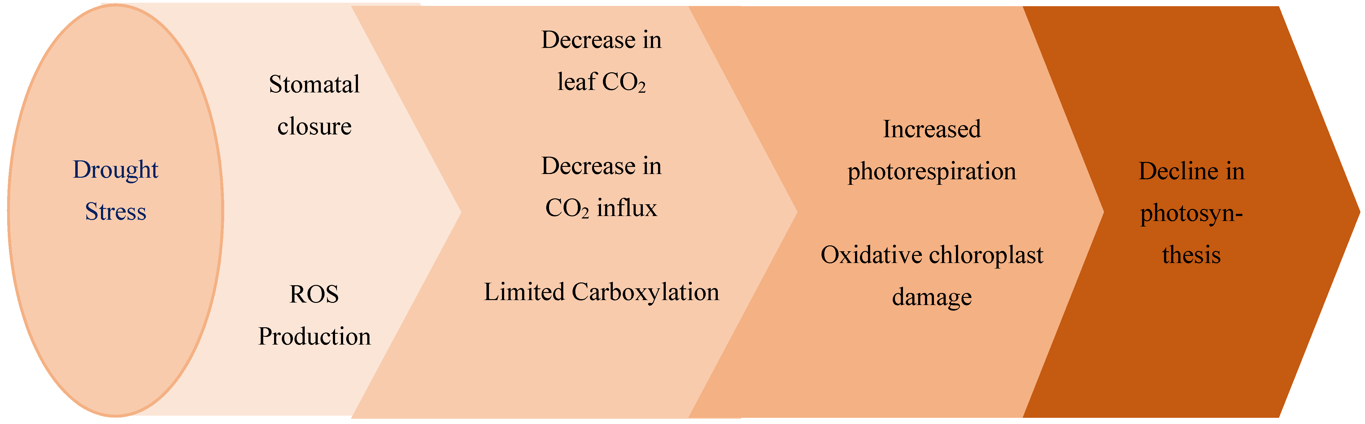Sustainability 14 12722 g001