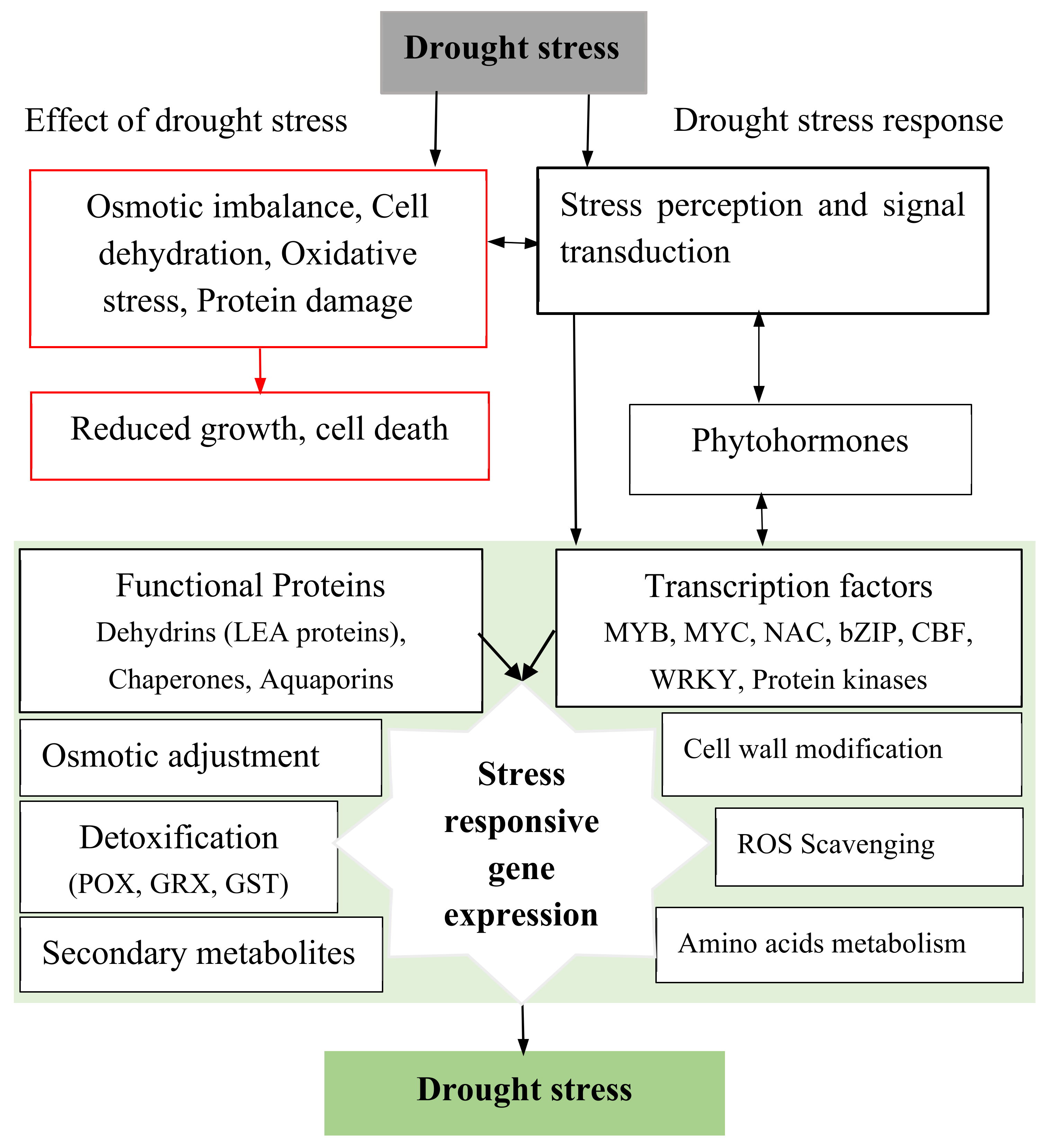 Sustainability 14 12722 g002