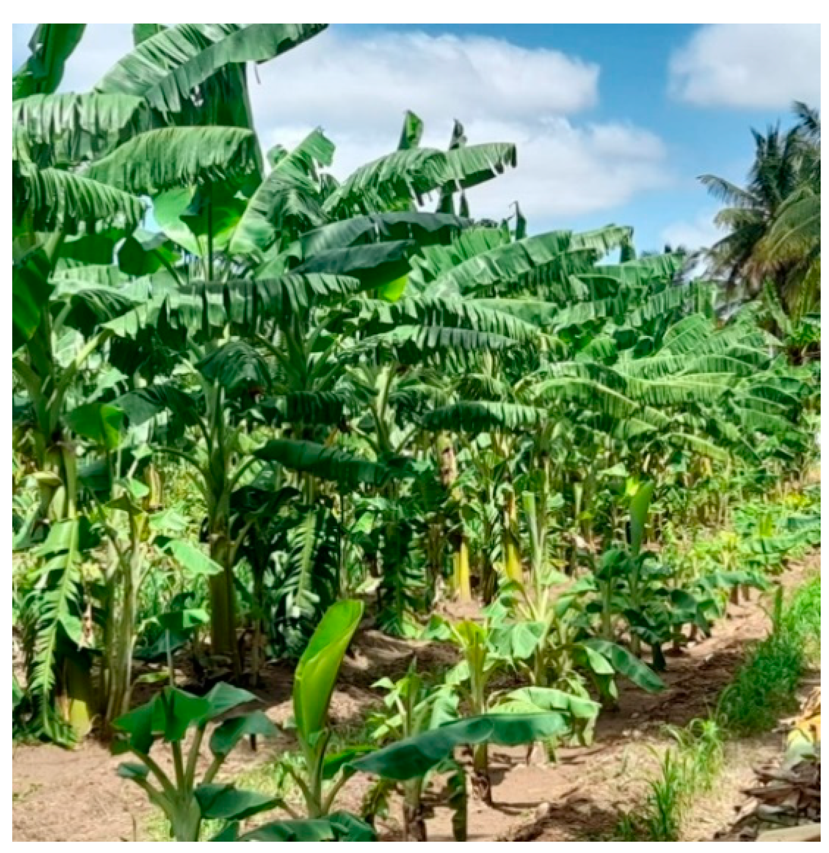 Sustainability 14 12732 g001