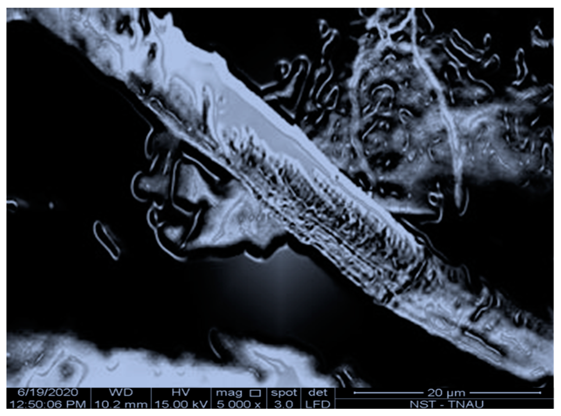 Sustainability 14 12732 g010