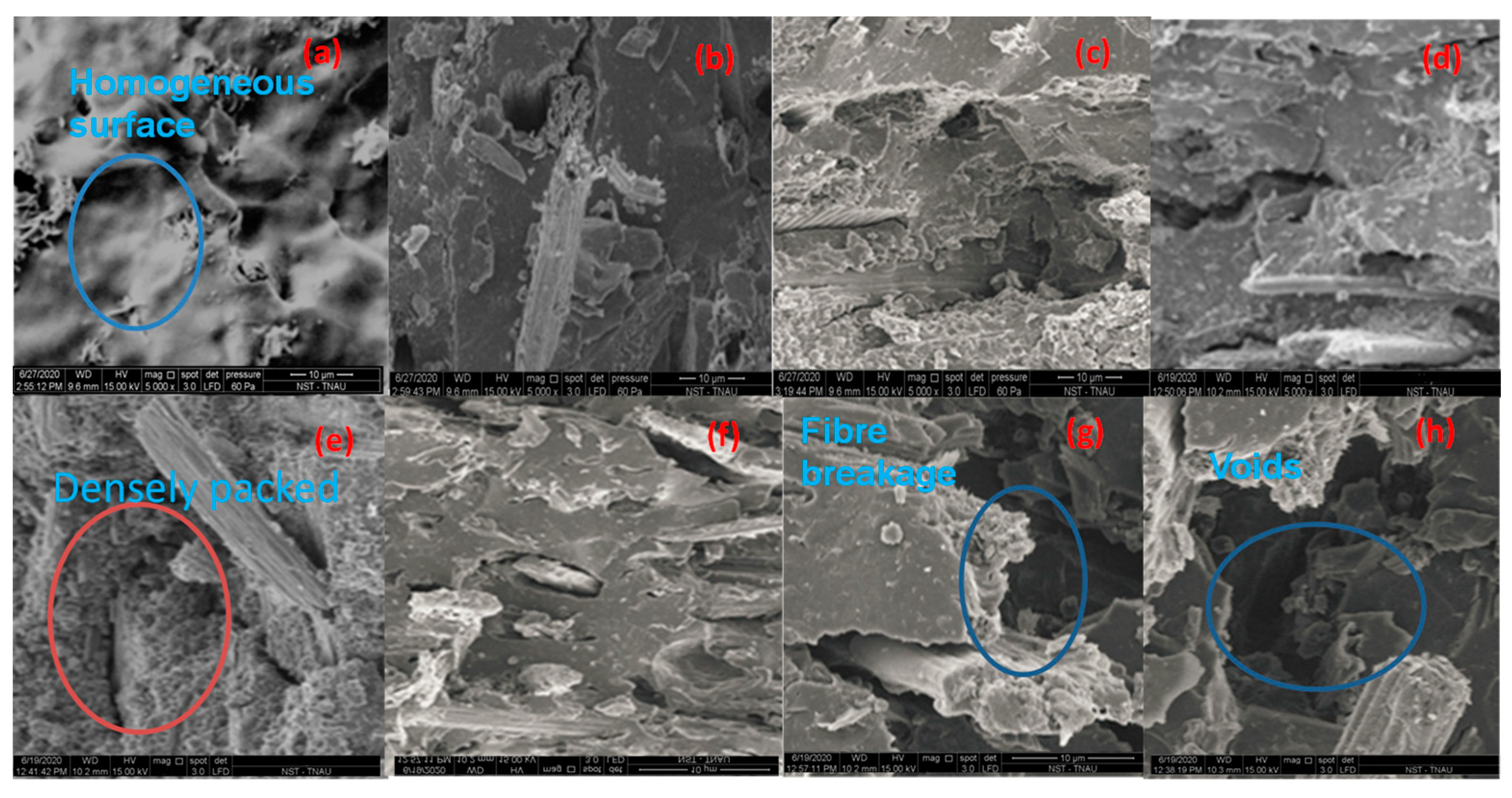 Sustainability 14 12732 g012