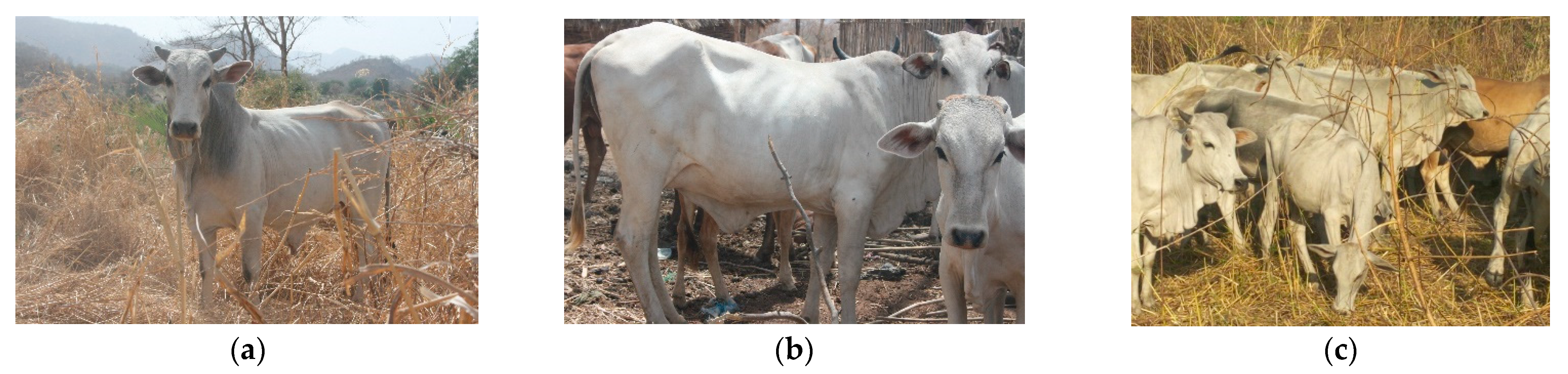 Sustainability 14 12766 g001