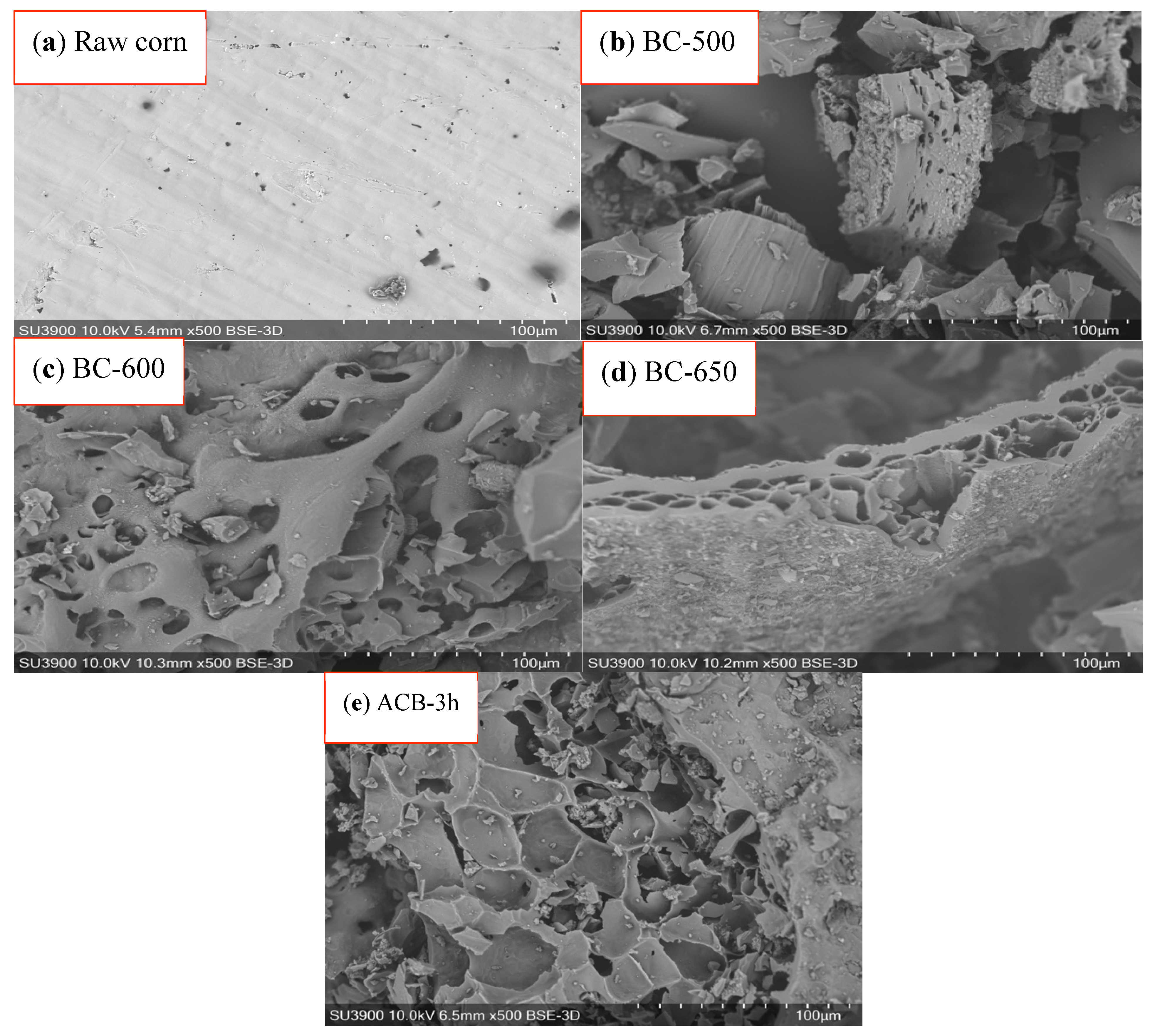Sustainability 14 12842 g010