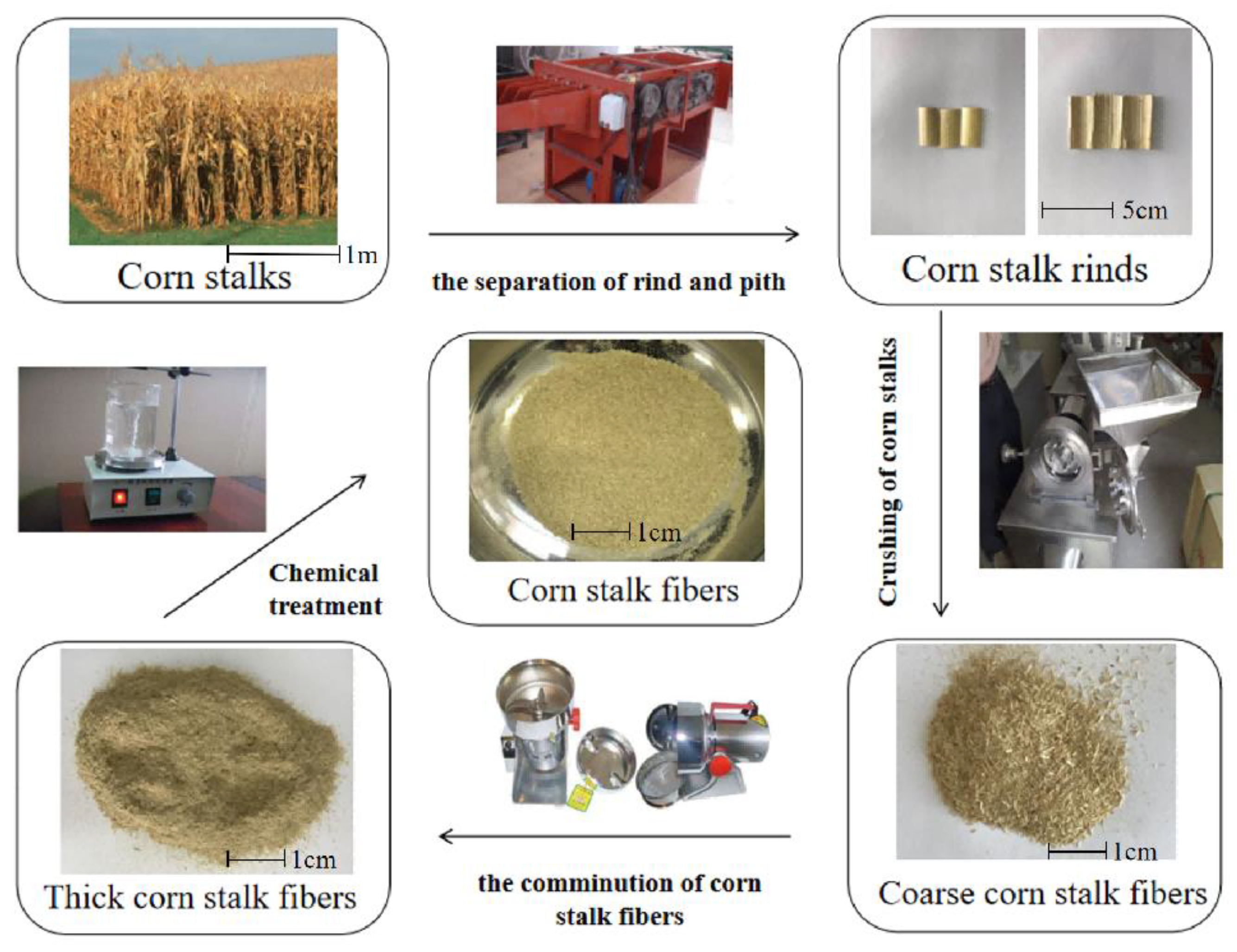 Sustainability 14 12863 g001
