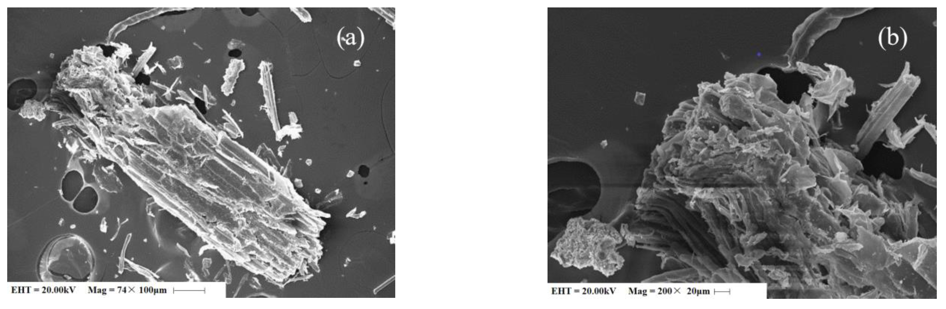 Sustainability 14 12863 g004