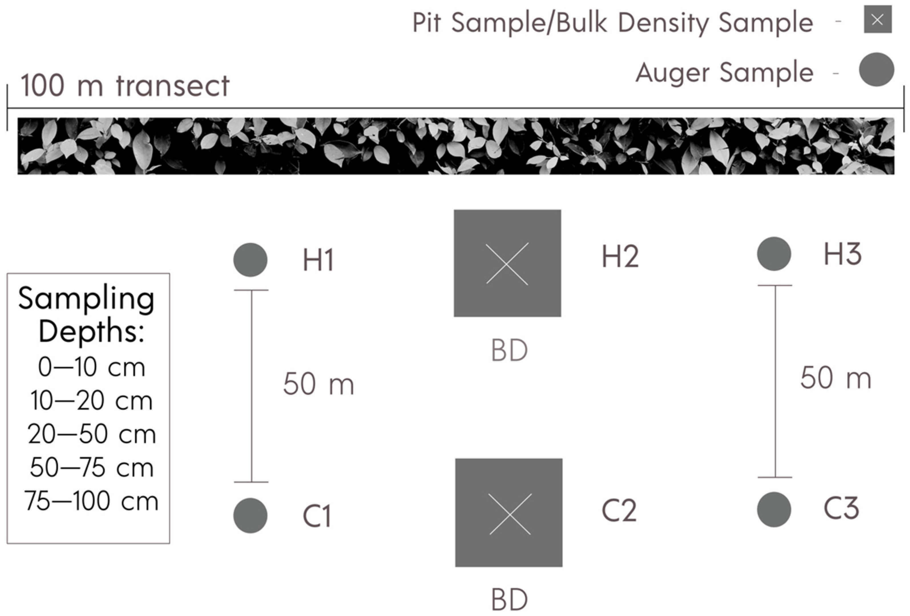 Sustainability 14 12901 g002